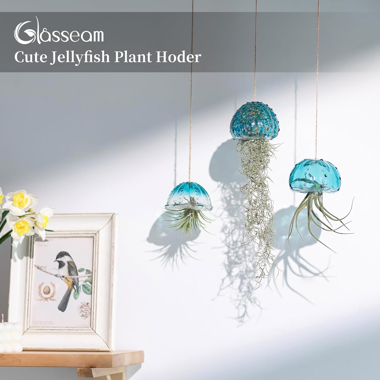 Glasseam Glass Jellyfish Decor, 3 Pcs Hanging Air Plant Holders with Jute | Tillandsia Houseplants Display, Ocean Blue