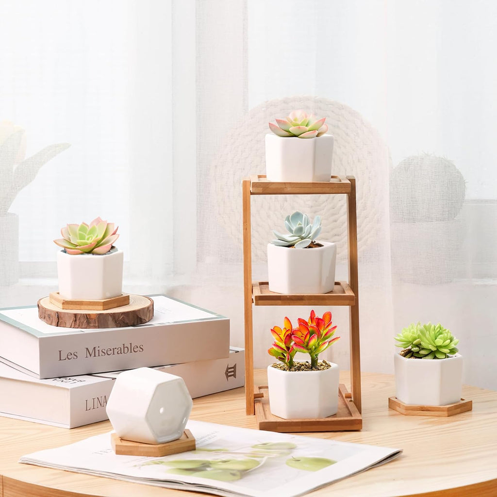 T4U Small Succulent Pots 12 Pack, Mini Flower Planters with Drainage White | Live cactus bonsai starter, Indoor