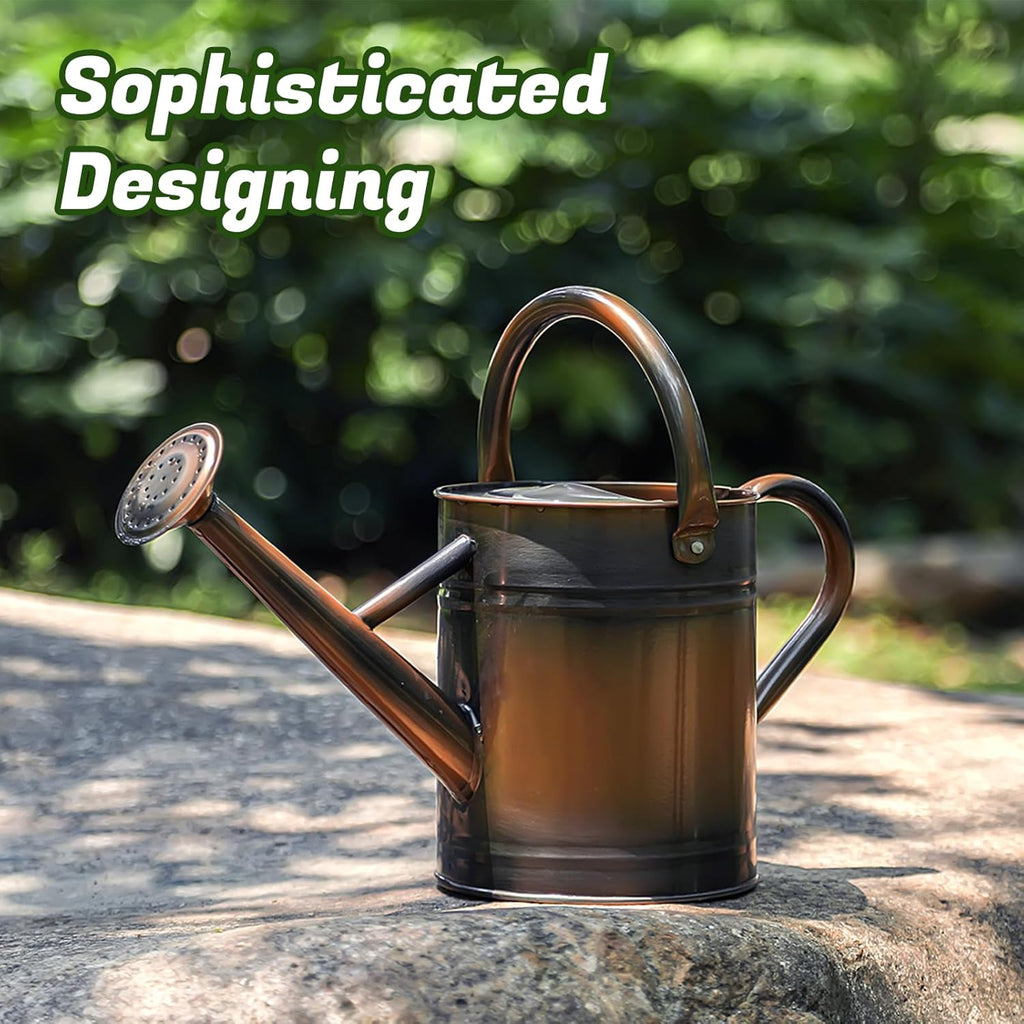 1 Gallon Watering Can for Plants, Watering Cans for Indoor&Outdoor Gardening, Galvanized Steel Watering Pot with