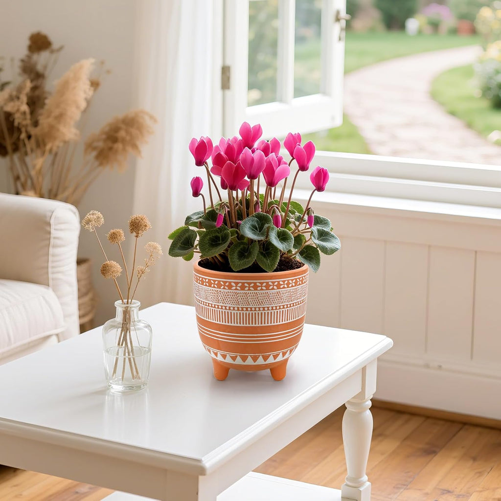 Frcctre 2 Pack Terracotta Pots, 6 Inch Succulent Clay Pottery Plant Pots Cactus Terra Cotta Flower Pot with Drainage
