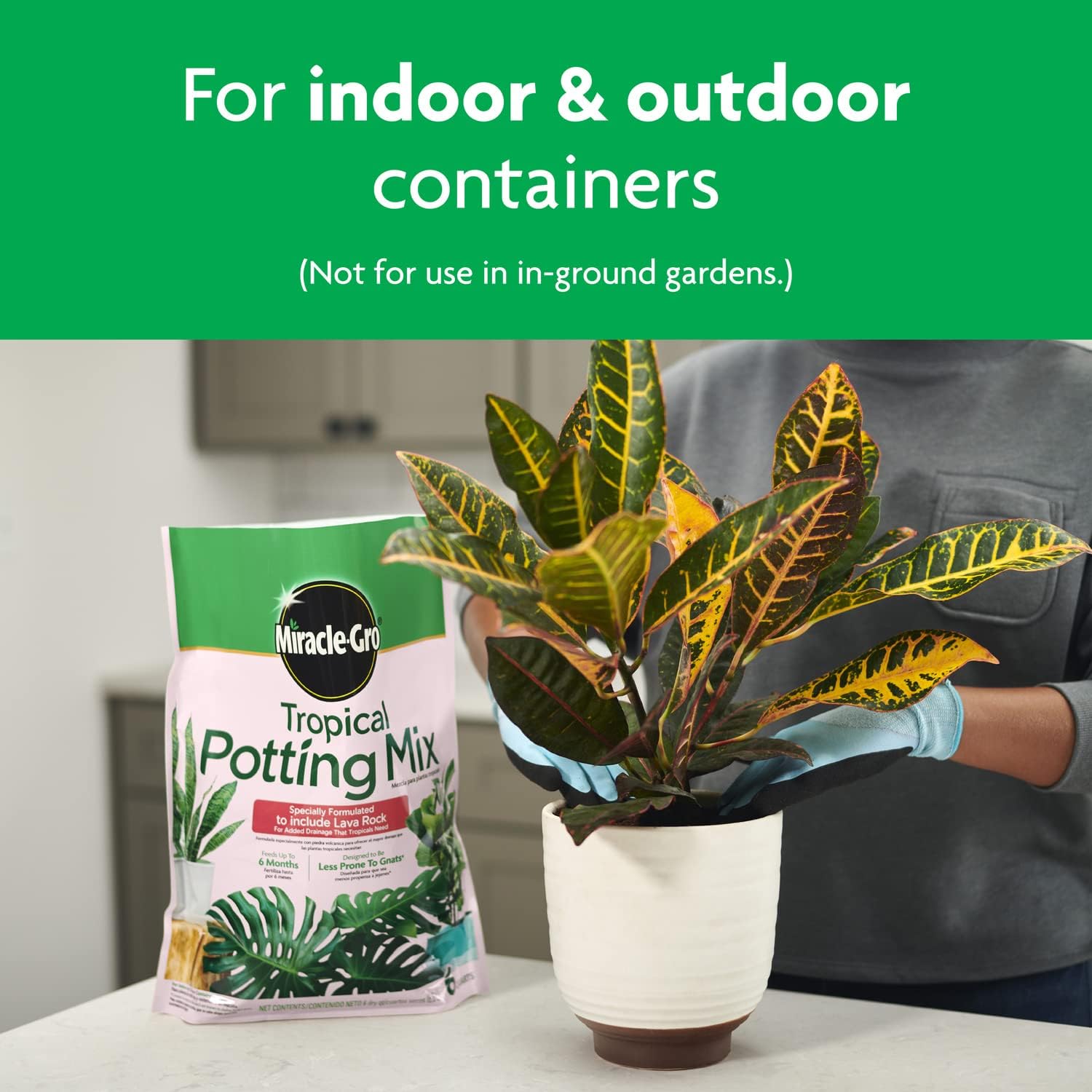 Gro Tropical Potting Mix, 6 qt. (2-Pack) | Growing Media for Tropical Plants Living in Indoor and Outdoor Containers