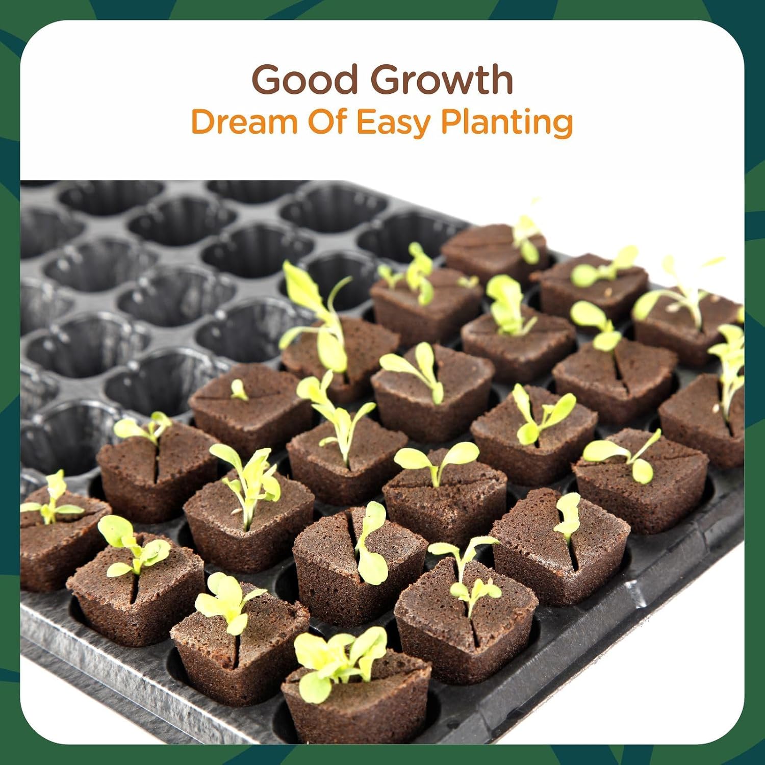 Rooting Cubes for Plant Cloning, 80PCS Grow Media with Pre-Cut Slit