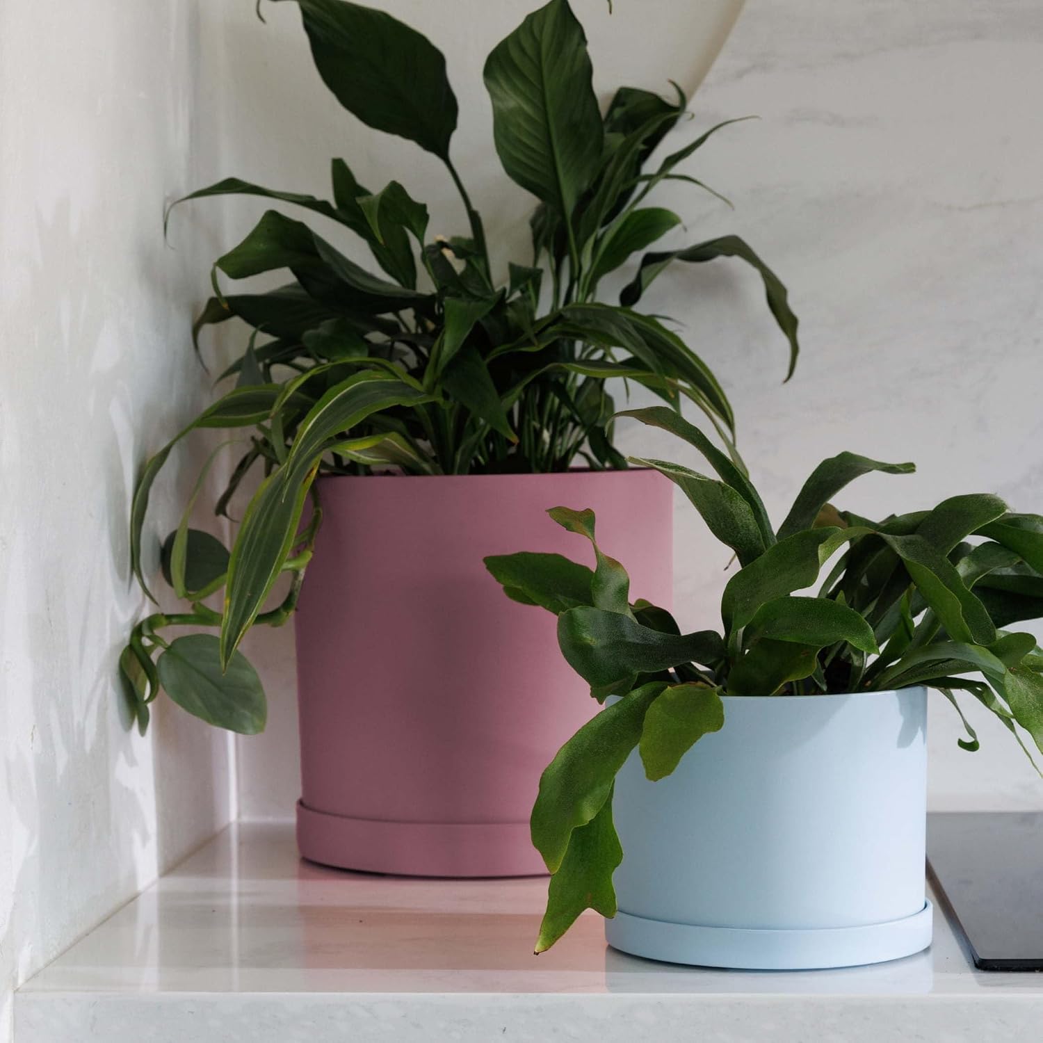 Bloem Mathers 10" Plastic Planter - Modern Indoor Pot with Drainage Holes and Saucer Tray, Dusty Rose