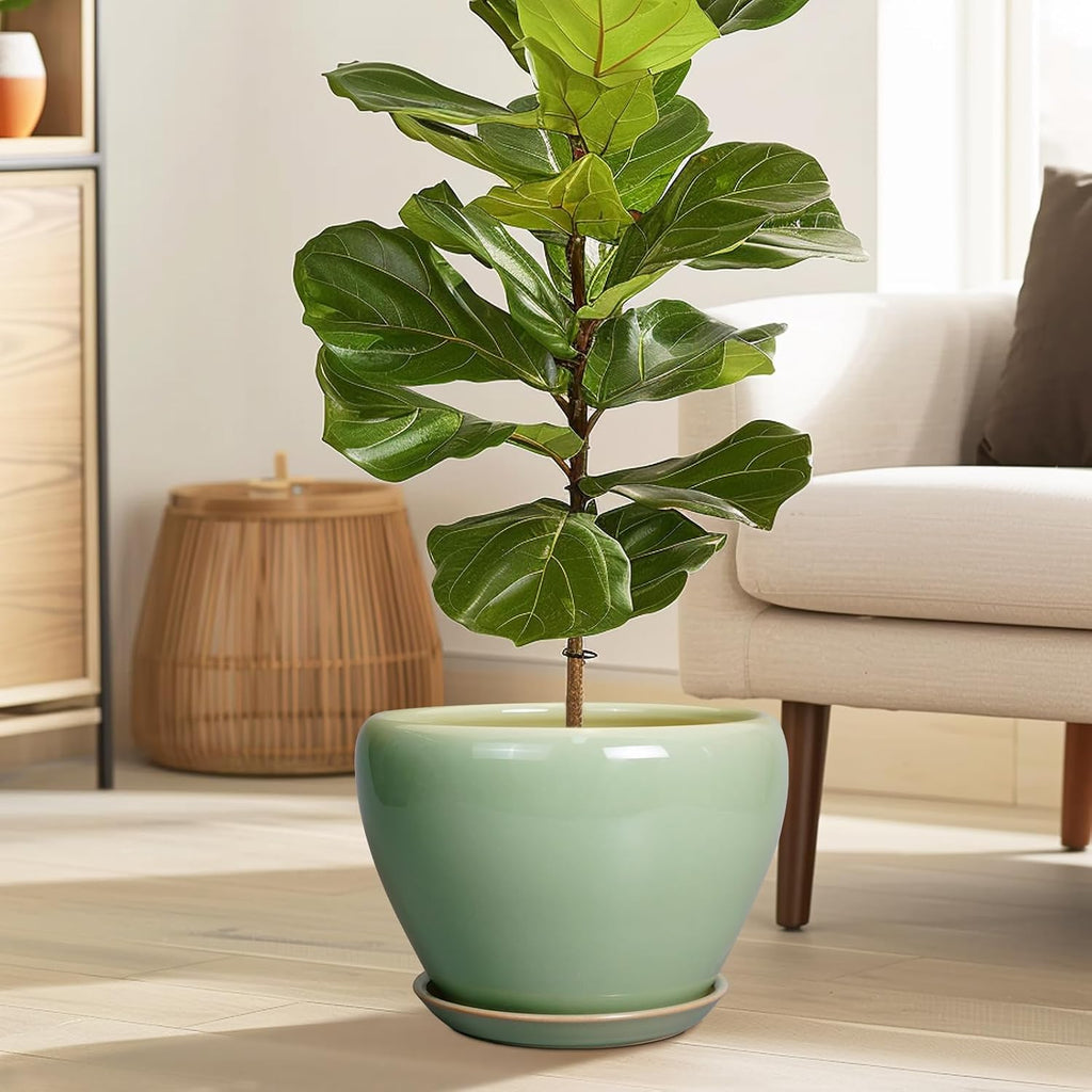 Ceramicfor Ceramic Planter Pot - 10 Inch Plant Pot for Indoor Plants Decorative Planter with Drainage Hole and Saucer