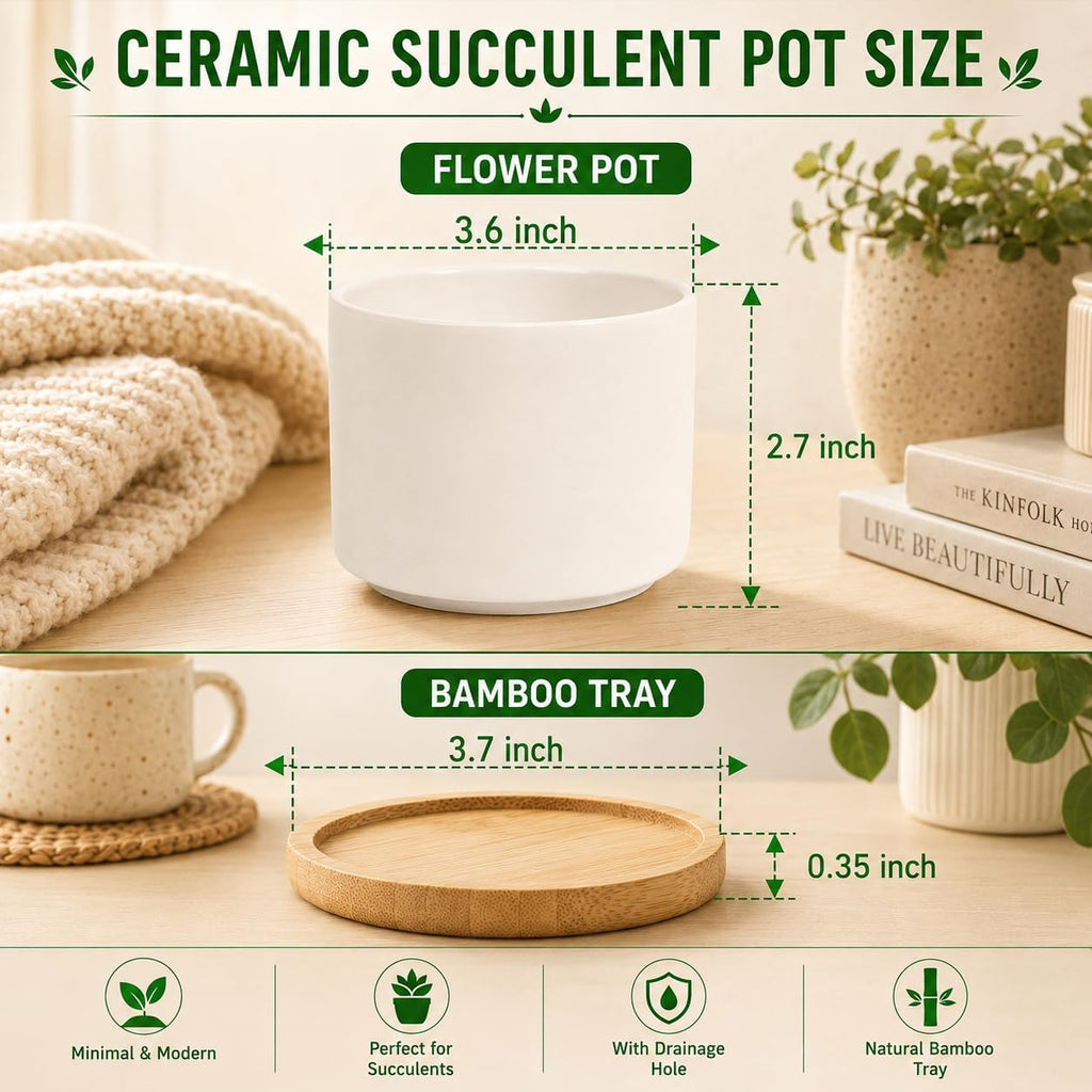 ZOUTOG 12 Pack Ceramic Succulent Pots,3.6 Inch Plant Pots,Succulent Planters with Drainage Hole & Bamboo Tray for