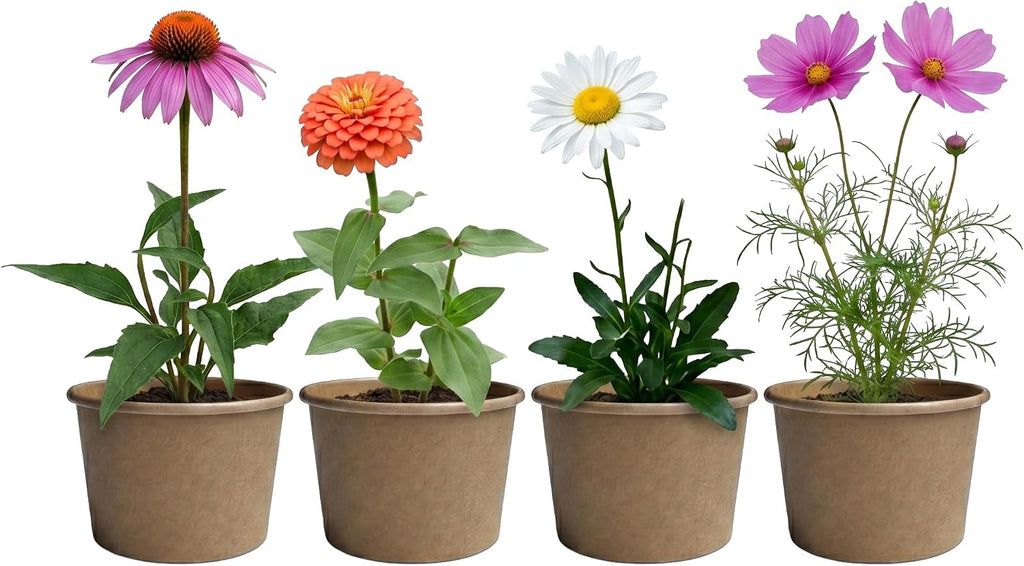 Buzzy Seeds Save the Bees Grow Kit 12-Pack - Eco-Friendly Pots - Complete Indoor/Outdoor Gardening Kit with Seeds