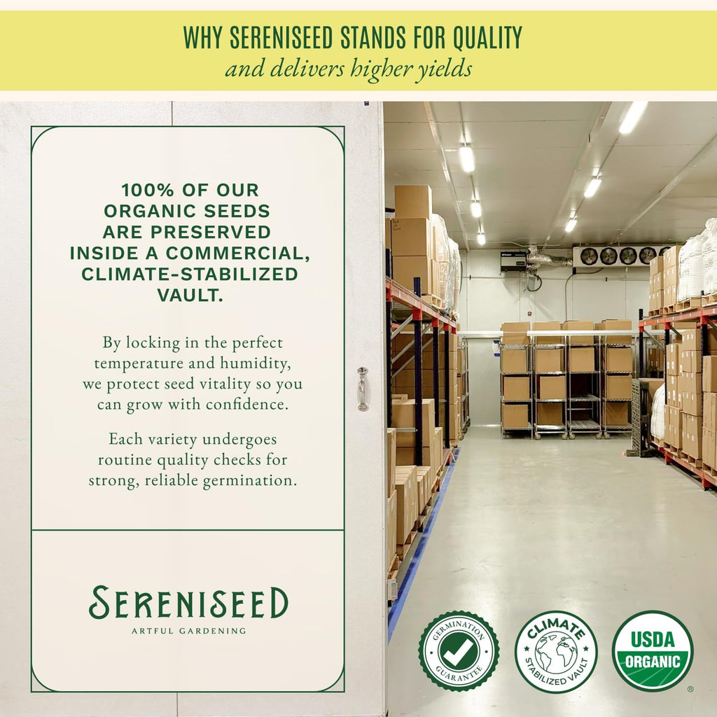 Sereniseed Certified Organic Herb Seeds 35-Pack | Non-GMO Heirloom Variety for Indoor Outdoor Culinary Gardening Gift