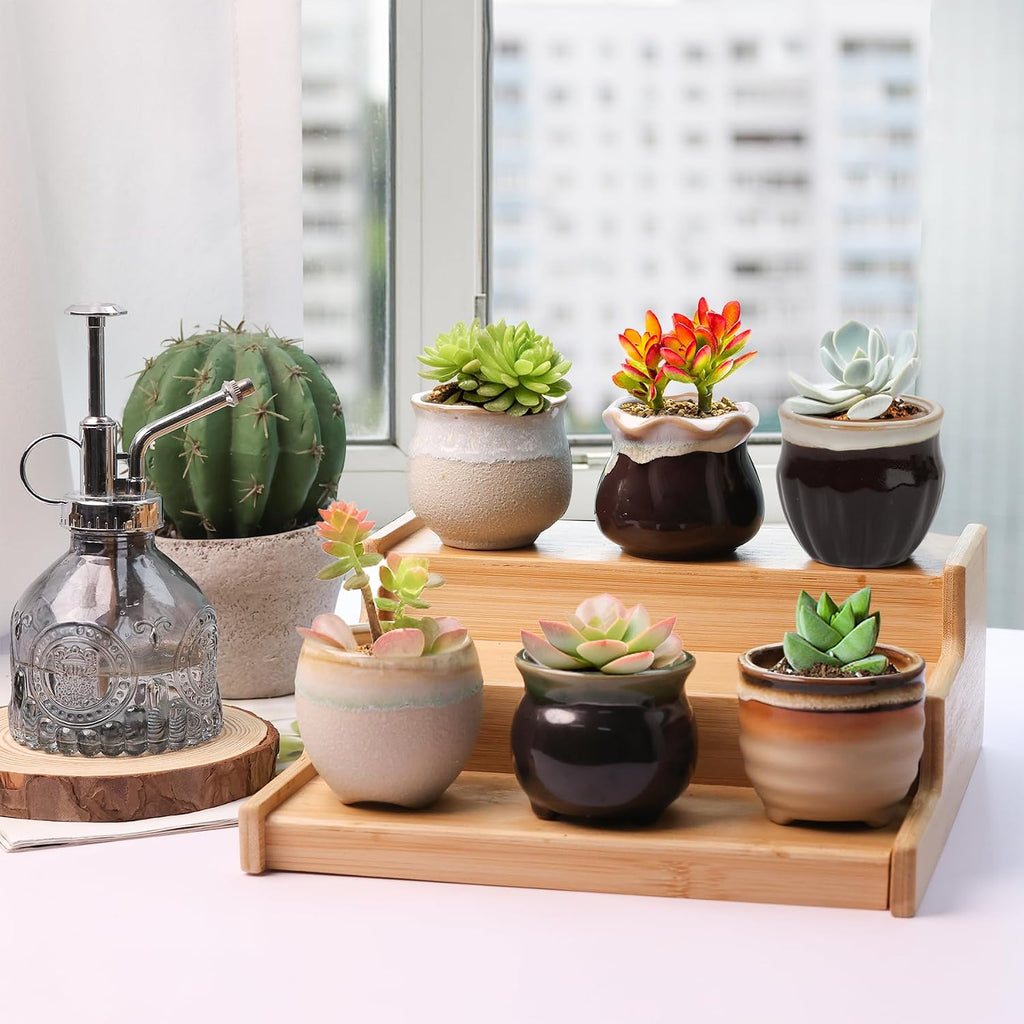 T4U Small Ceramic Succulent Pots with Drainage - Set of 12, Mini Pots for Plants, Home and Office Decor, Plant Lover