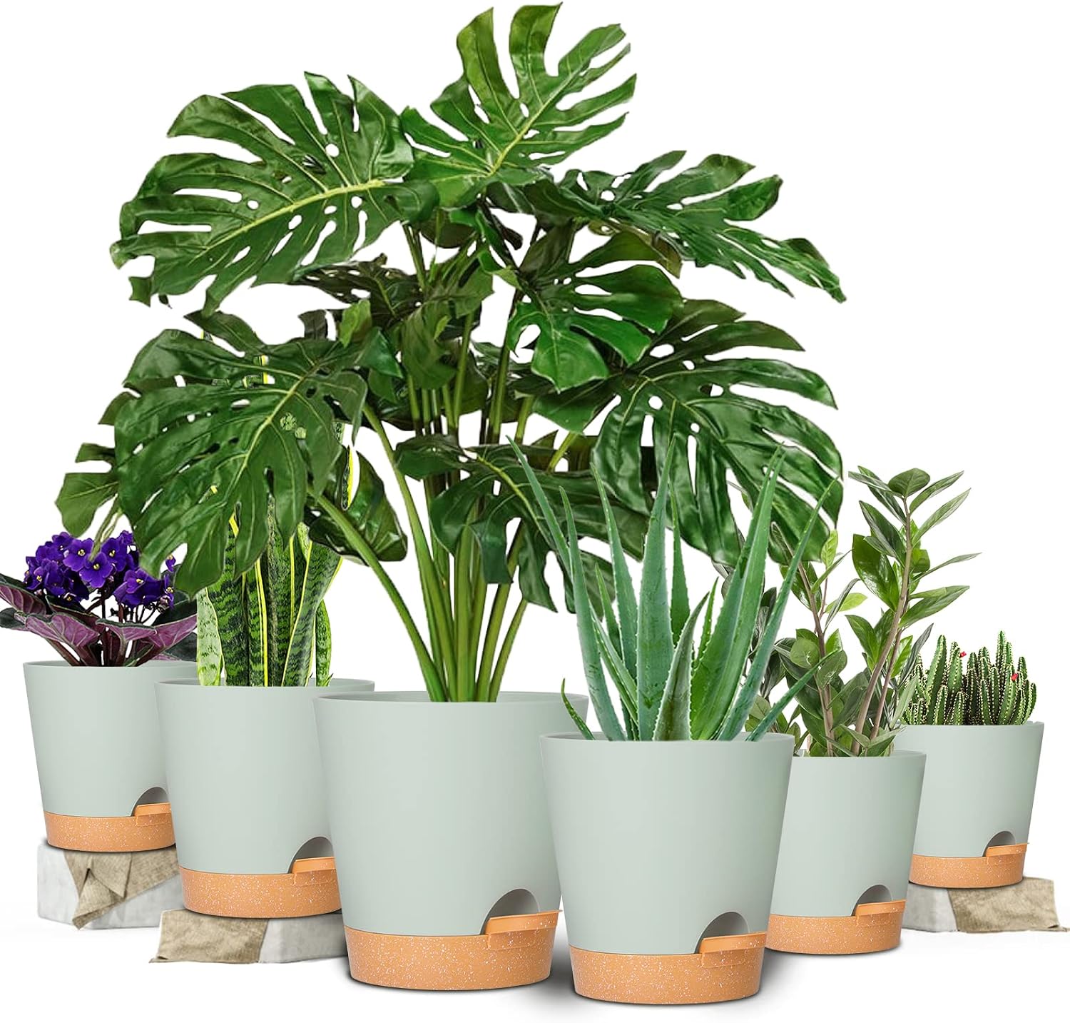 Plant Pots 8/7/6.5/6/5.5/5 Inch Self Watering Planters with Drainage Hole, Plastic Flower Pots, Nursery Planting Pot