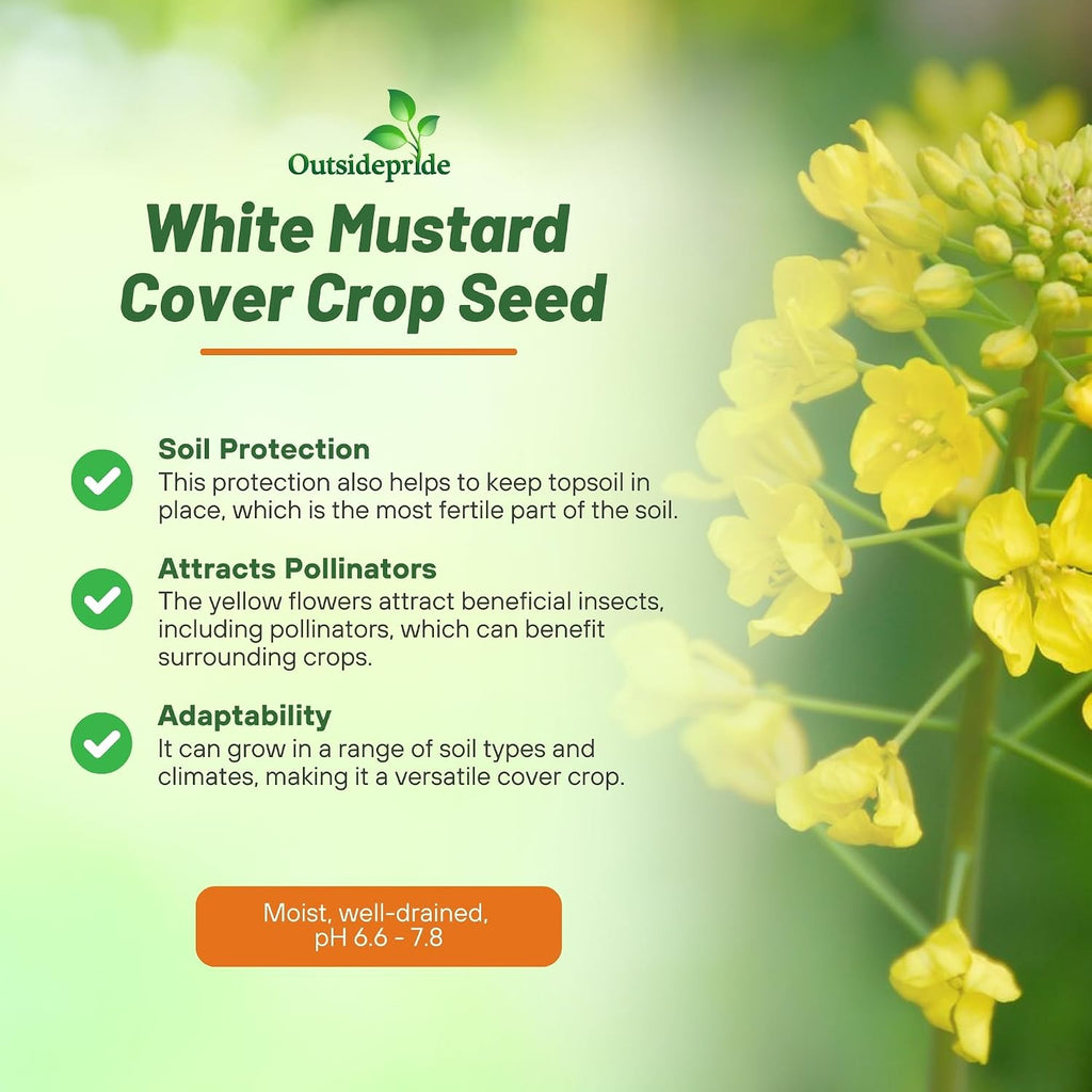Outsidepride White Mustard Seeds for Planting - 5 lb Annual Cover Crop Seeds w/Deep Root System, High Protein Forage