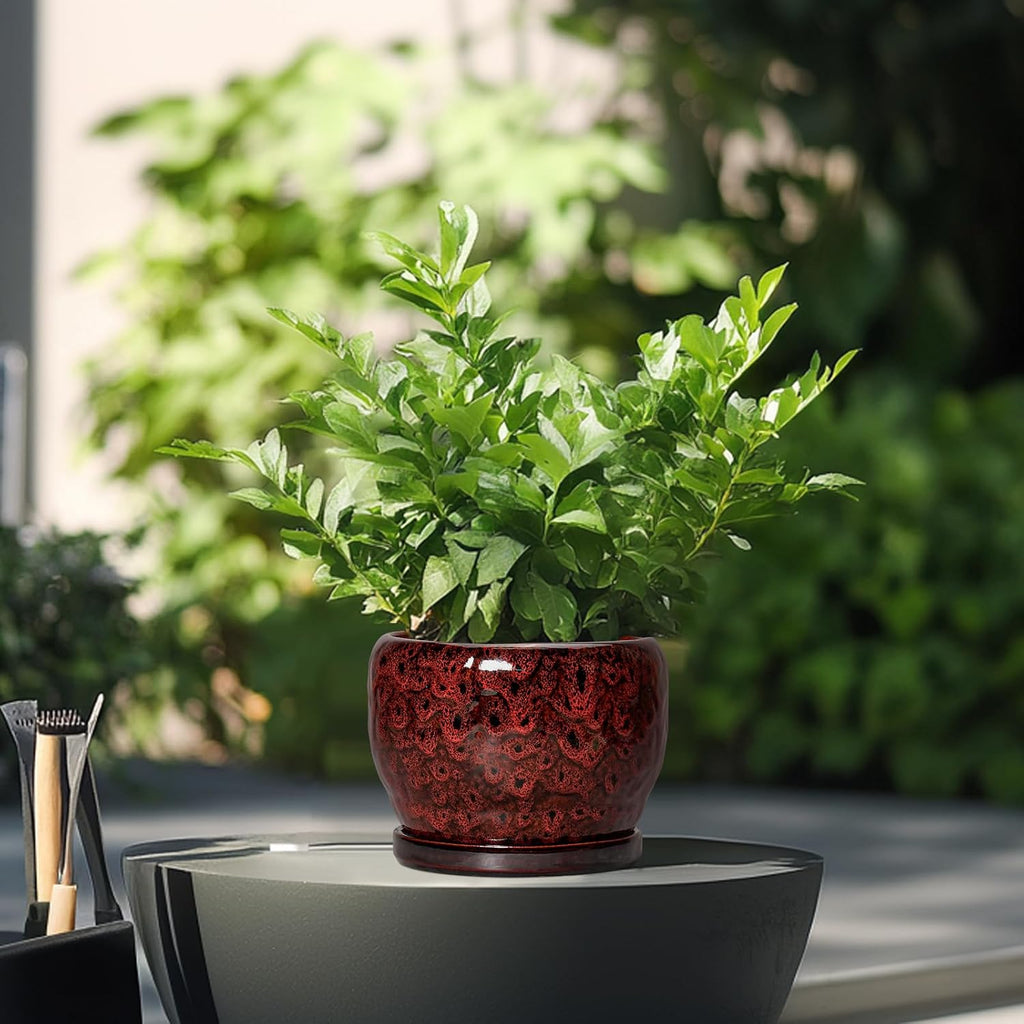 SQOWL Ceramic Pot for Plants - 6 Inch Plant Pot Indoor with Drainage Hole and Saucer, Decorative Flower Pot Outdoor
