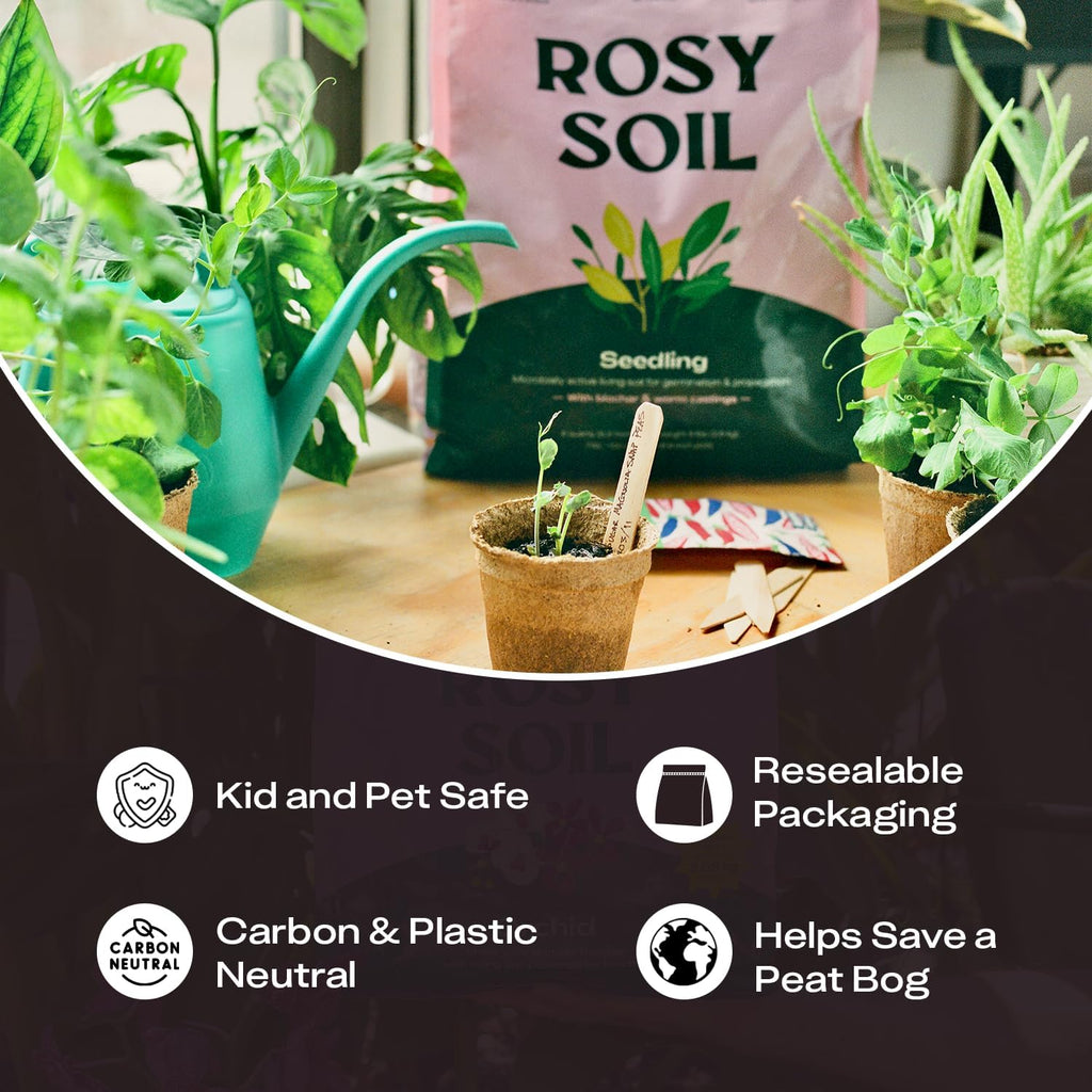 Rosy Soil Seedling Seed Starter Soil Mix, Organic, Peat-Free, 4 Quarts | Worm Castings, Biochar and Mycorrhizae Blend