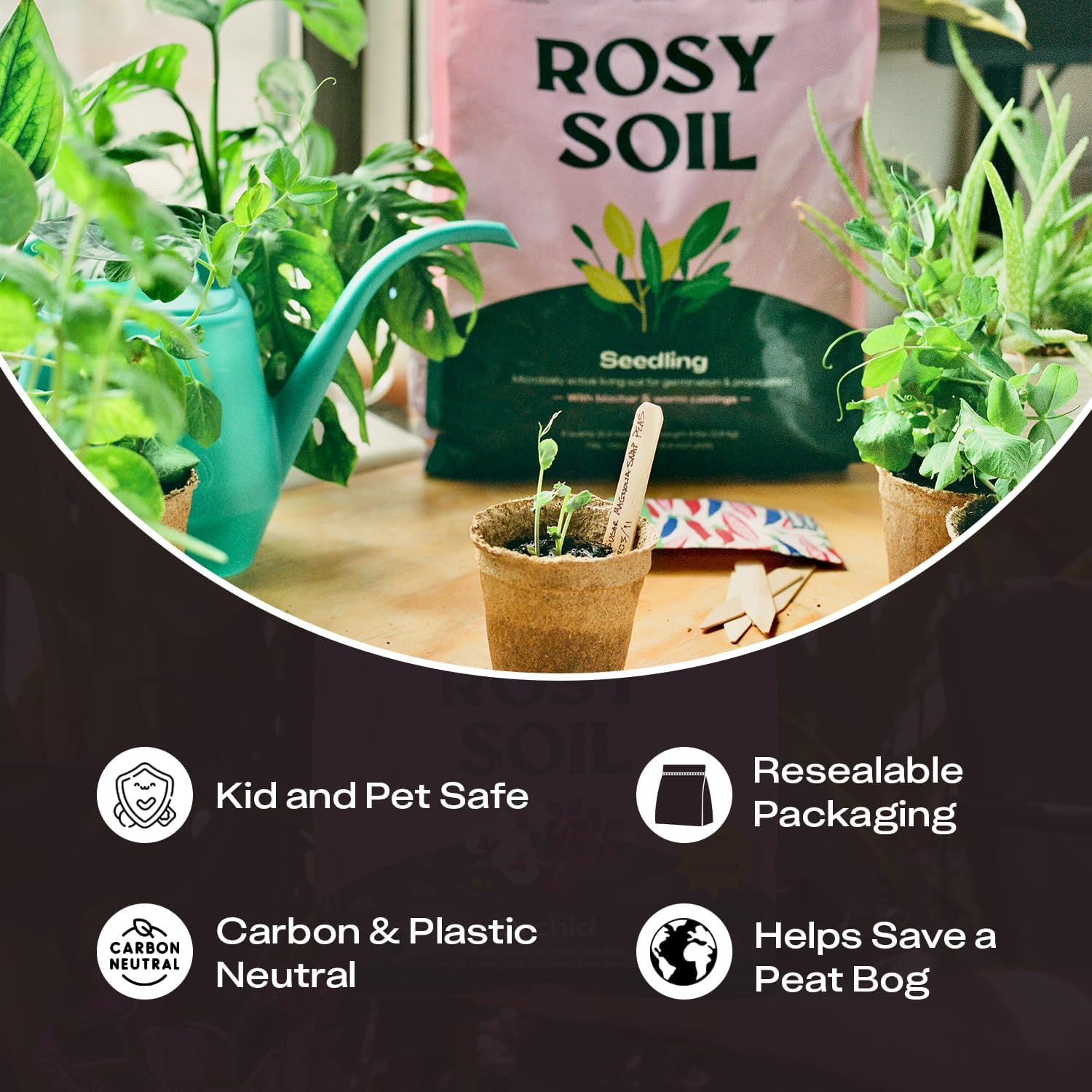 Rosy Soil Seedling Seed Starter Soil Mix, Organic, Peat-Free, 4 Quarts | Worm Castings, Biochar and Mycorrhizae Blend