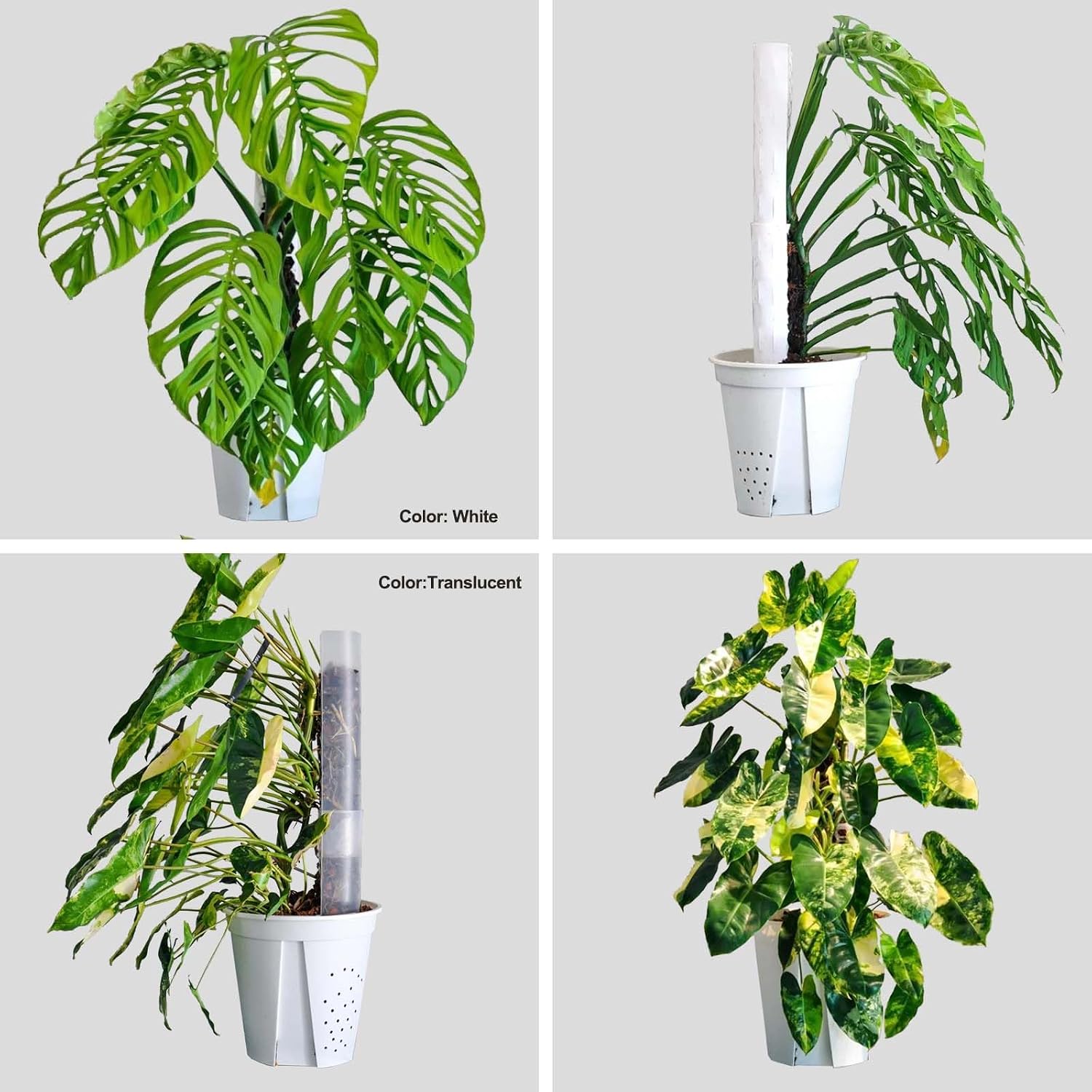 8 Pack 17 Inch Plastic Moss Pole for Monstera | Stackable Plant Support for Indoor Climbing Plants, Durable Plant Stake