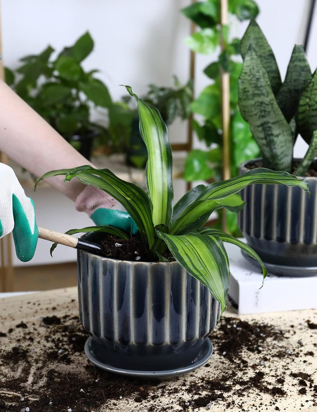 Plant Pots 6 inch Ceramic Pots for Indoor Plants Set of 2 Flower Pots Unique Crackle Glaze Design Plant Pots with