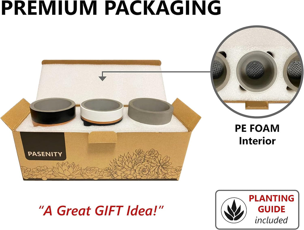 PASENITY Hand Painted Indoor Plant Pots, Set of 3 Modern Cement Succulent Pots with Drainage, Best Planters for Cactus