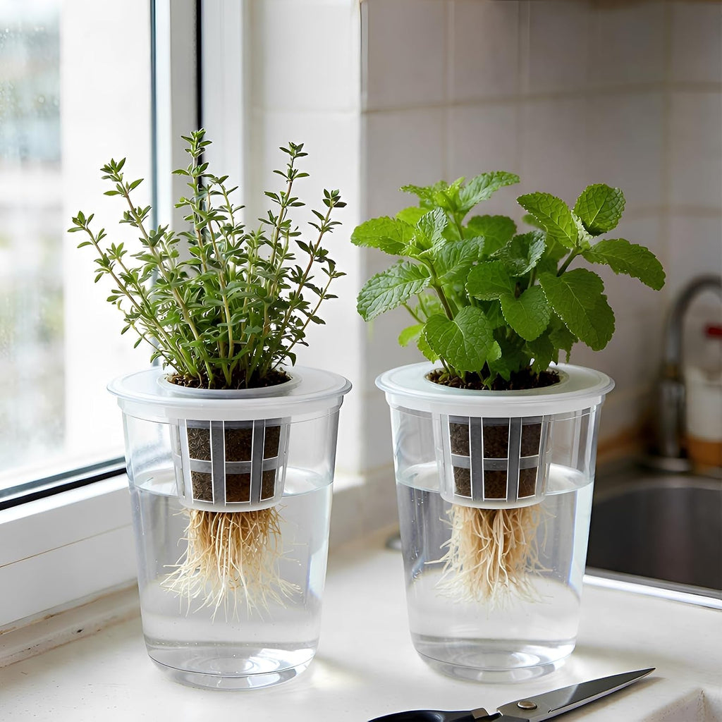 12 Pack 5in1 Seed Starter Cup Kit With Dome,Propagation Cups Self Watering | Tabletop Mini Greenhouse Hydroponics