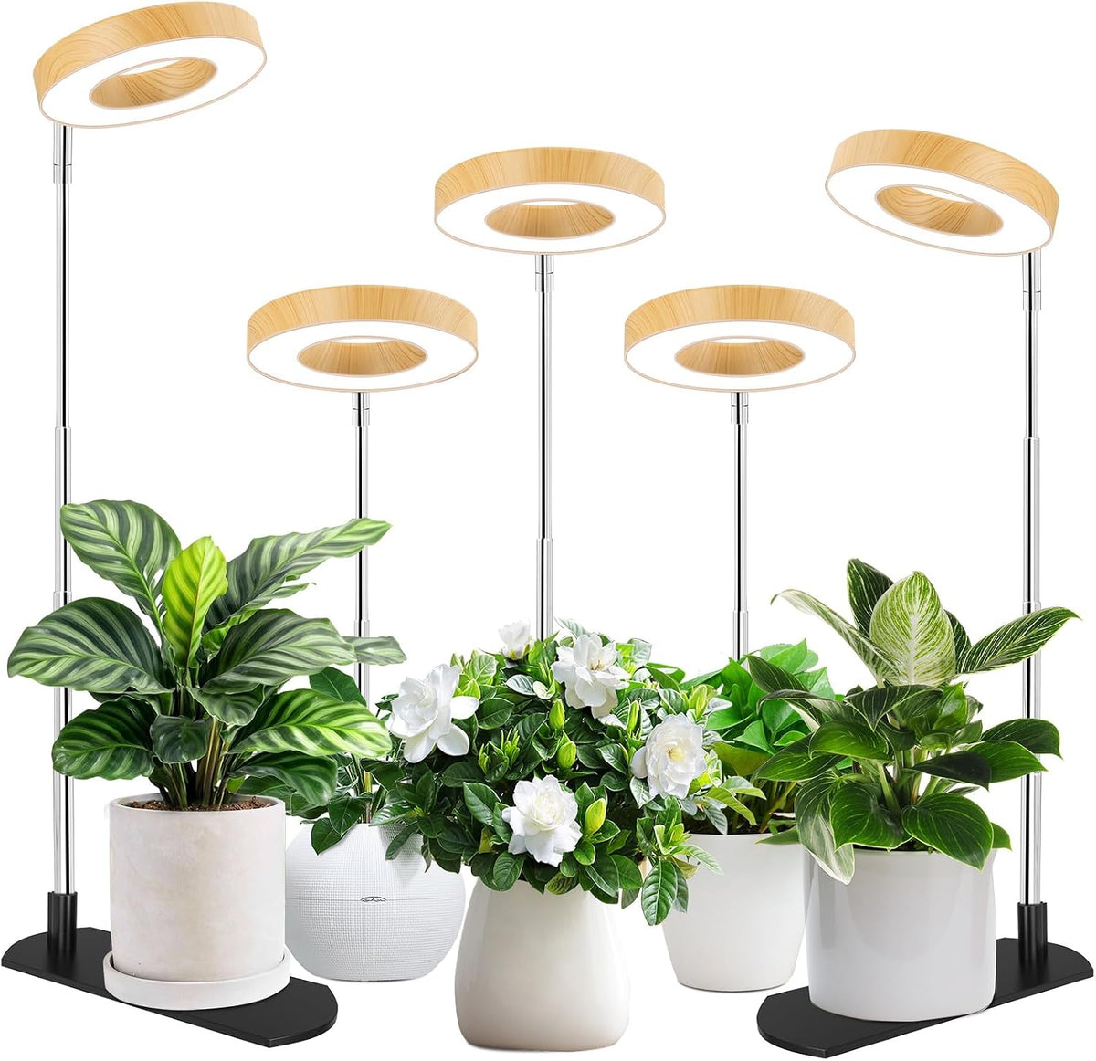 LBW Grow Lights for Indoor Plants, Full Spectrum Halo Grow Light with Base