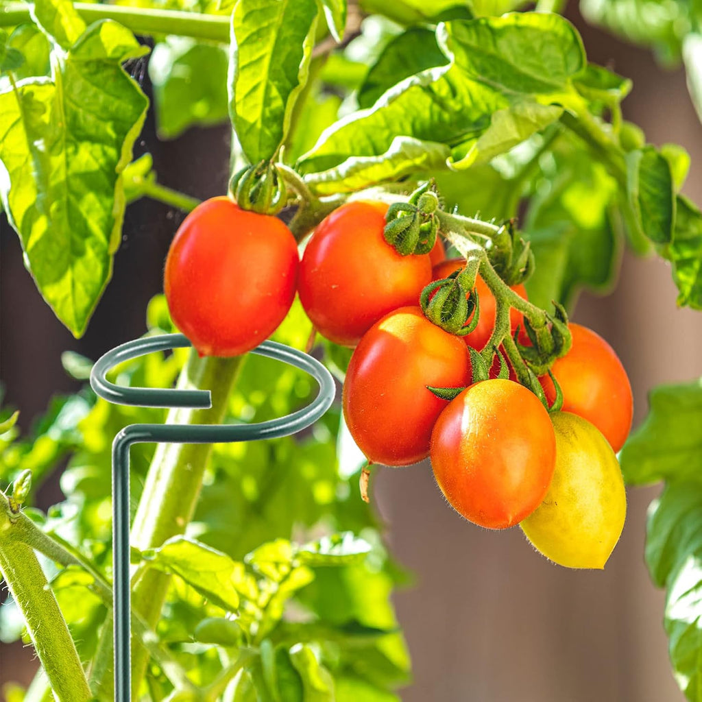 18 Inch 20 Packs Plant Support Stake Garden Single stemmed Plant Support Hoops Plant Prop for Flowers Orchid Tomatoes