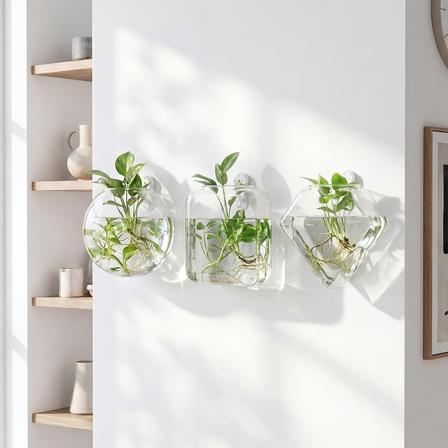 LemonRoad 6 Pcs Wall Hanging Glass Wall Hanging Planter Propagation Station Terrariums Clear Glass Vase Container for