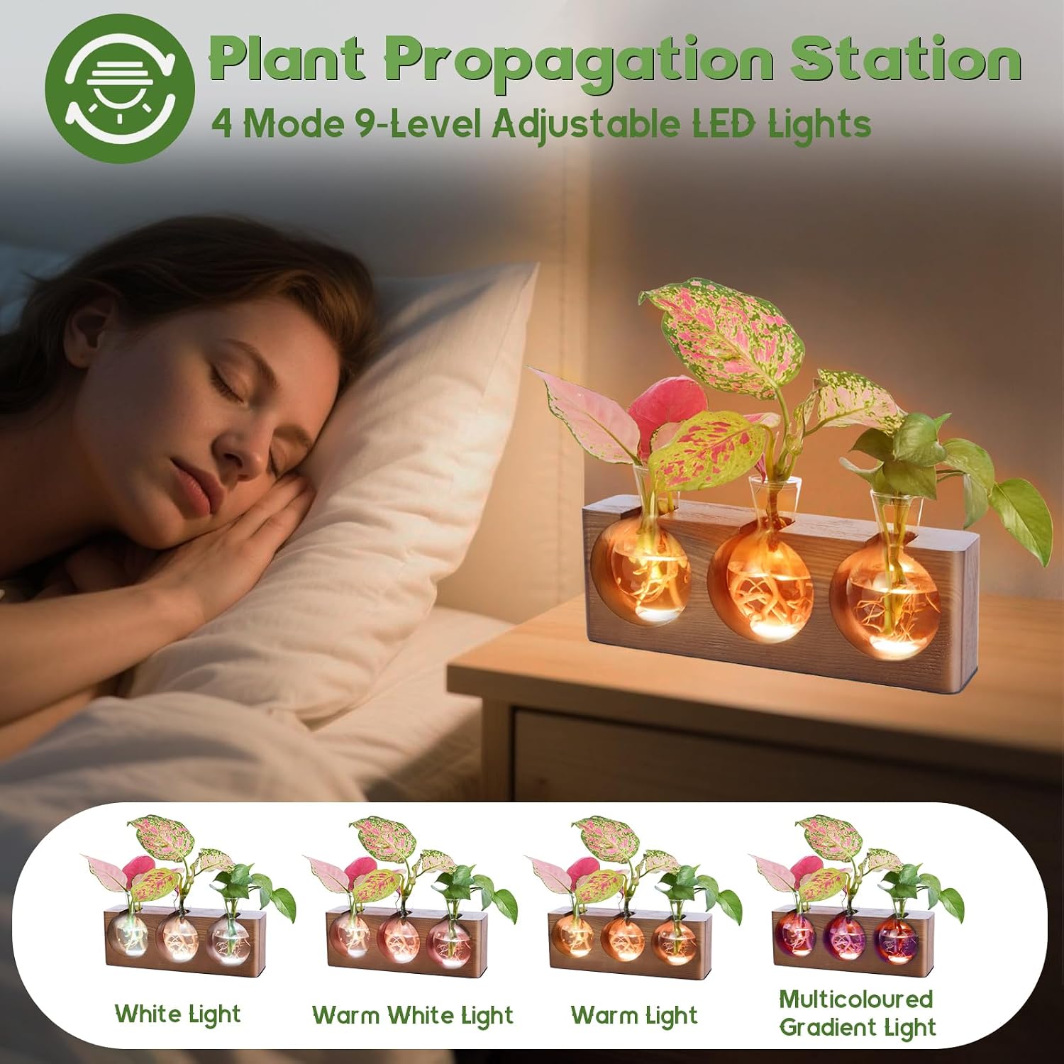 Wooden Stand Plant Propagation Station with 9-Level Adjustable LED Lights | Plant Terrarium with 4 Modes, 3 Glass