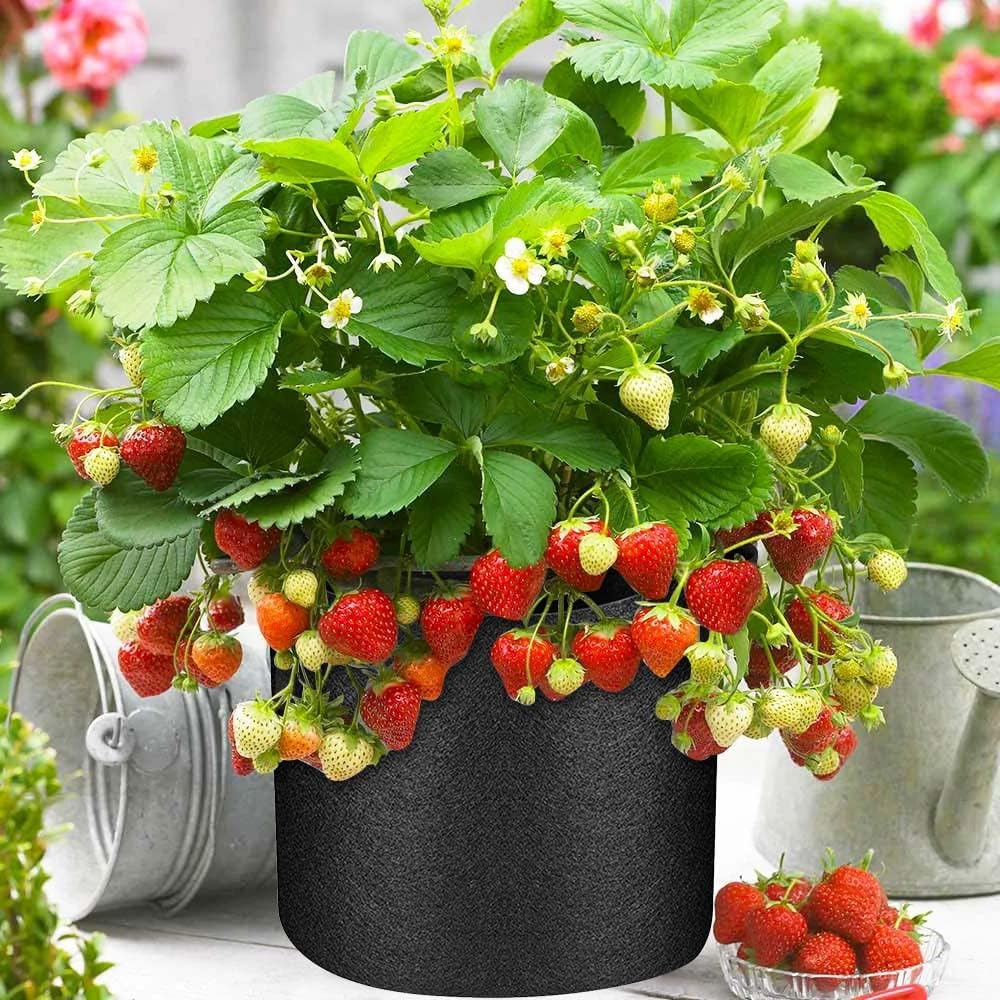 50 Pack 10 Gallon Grow Bags Bulk, Heavy Duty Thickened Fabric Pots Nonwoven Plant Bags with Handles, Breathable Plant