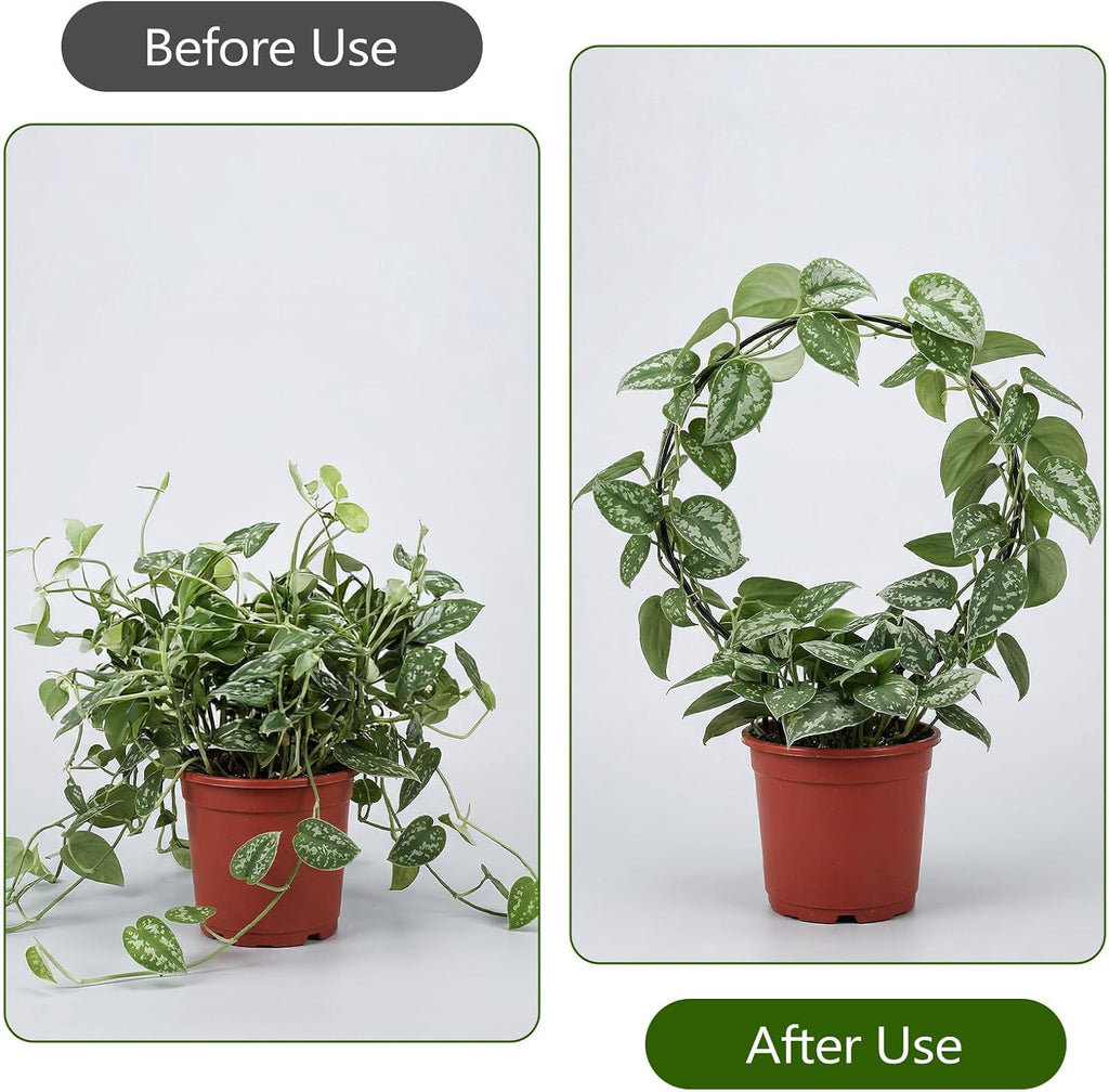20 Pcs Round Plant Trellis for Indoor Potted Plants, 10.5 InchSmall Trellis for Climbing Plants Indoor Outdoor Plant