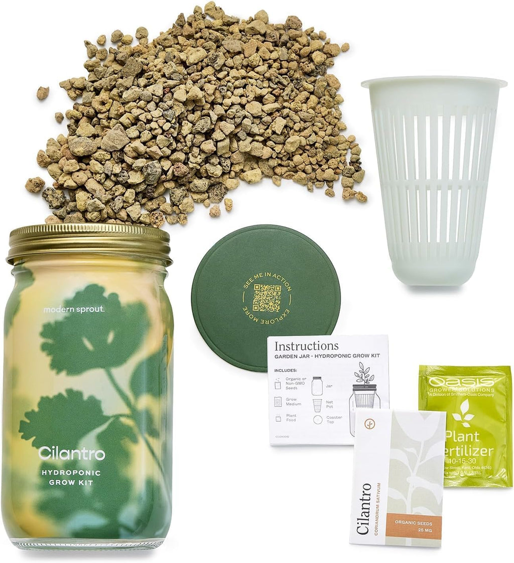 Modern Sprout MasonJar+Replant Kit-Self-Watering Hydroponic System-Cilantro | Growing System Kit w/Organic Herb Seeds
