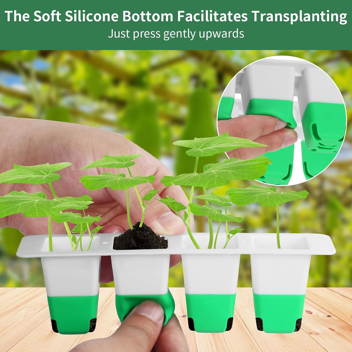 Sondiko Seed Starter Tray with Soft Silicone Cells, 80-Cell Starter Kit | Reusable Seedling Starter Trays with Humidity