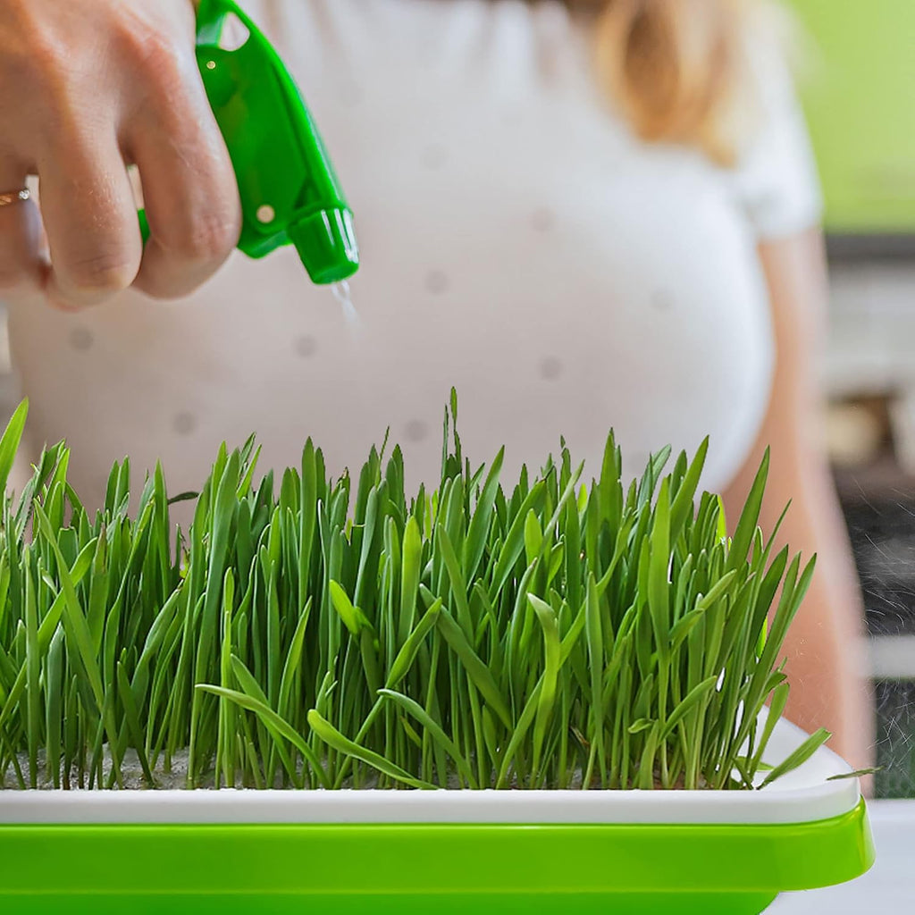 Pack 10 Seed Sprouter Tray with Drain Holes,Seed Germination Tray Kit BPA Free Nursery Tray,Soil-Free Big Capacity