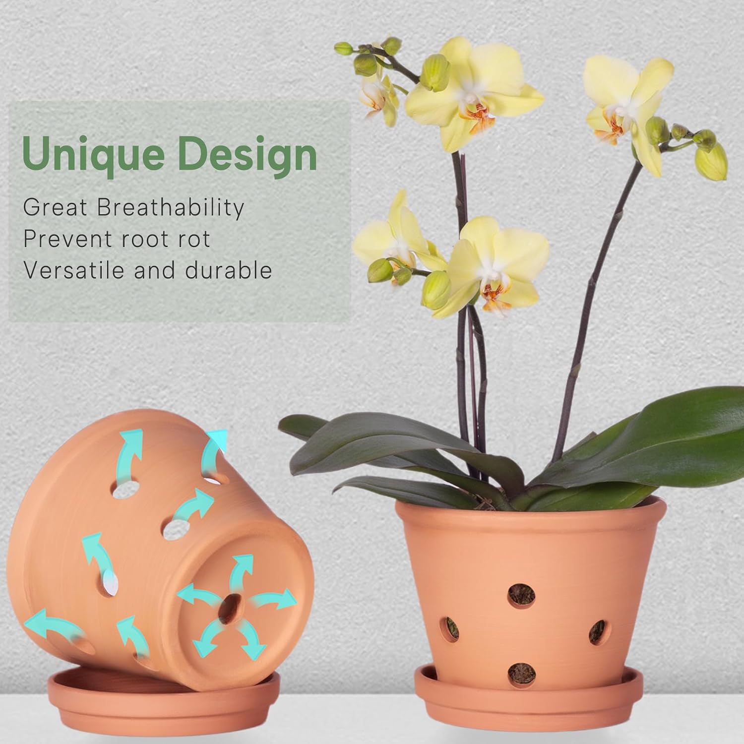 6 Inch Terracotta Orchid Pots with Holes, Saucers - 3 Pack Clay Orchid Planter Pots for Repotting, Small Terra Cotta