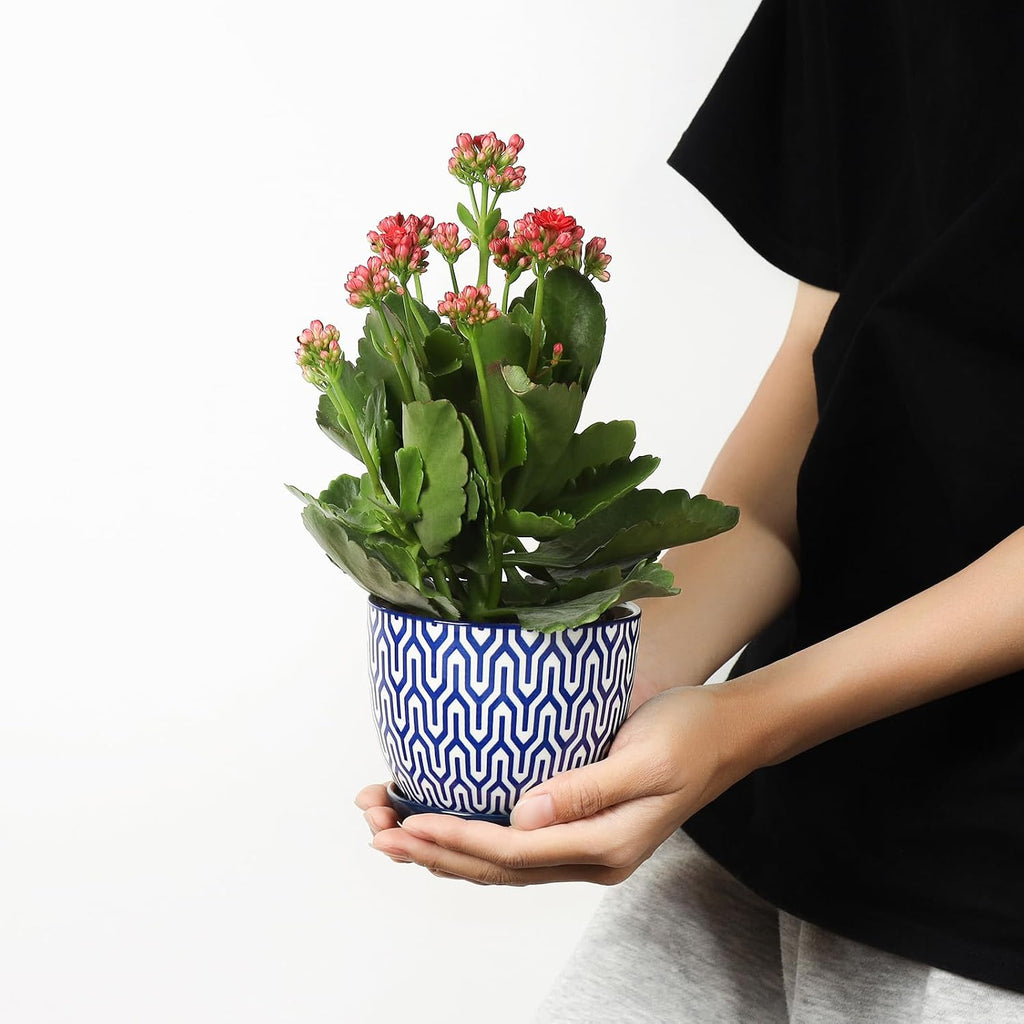 Selamica Ceramic Plant Pots, 4.6 Inch Flower Pots for Indoor Plants, Succulent Pots with Drainage Hole & Saucer