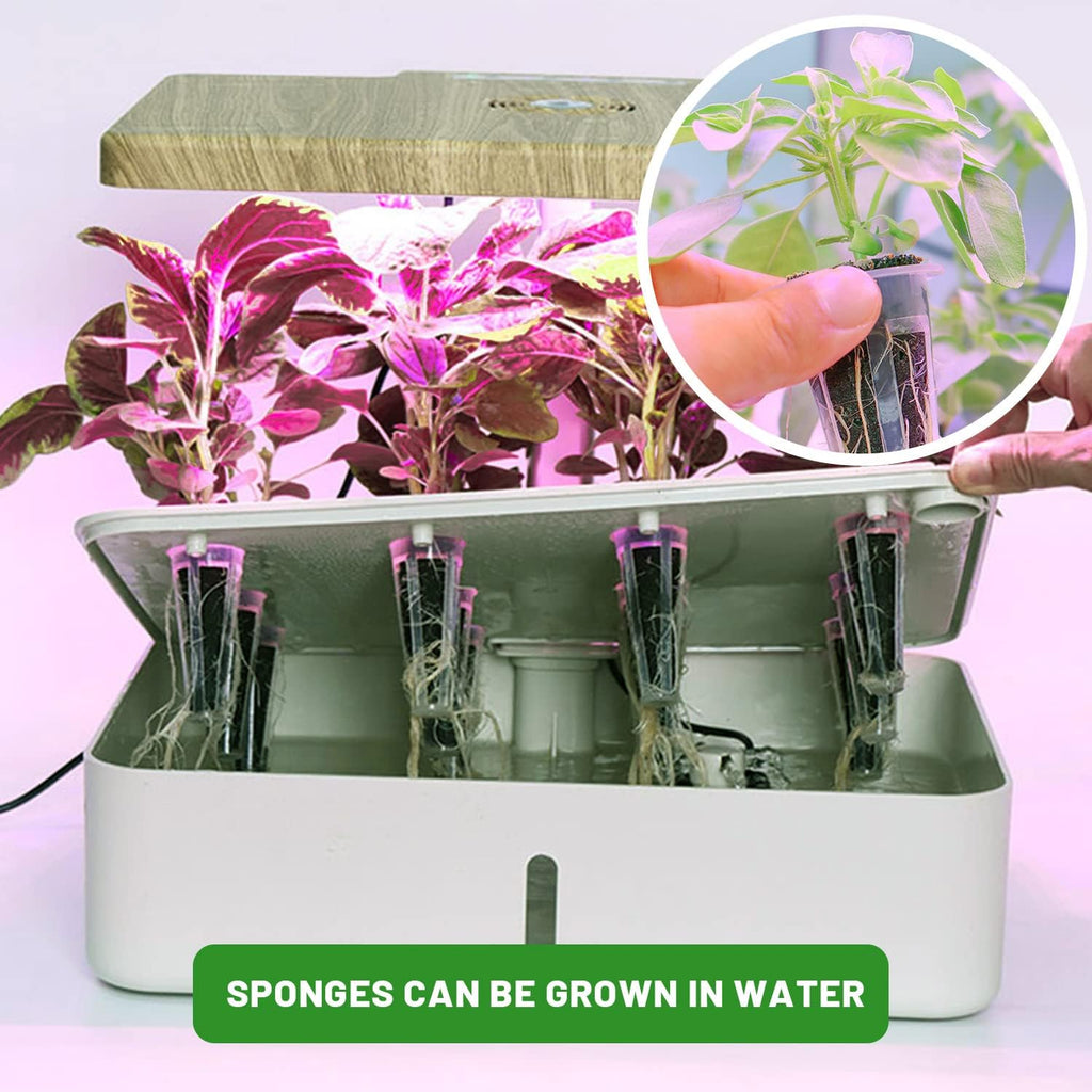 300Pcs Growth Sponges for Pods, Greenhouses Sponges, Grow Sponges for Greenhouses & Germination Equipment, Starter for