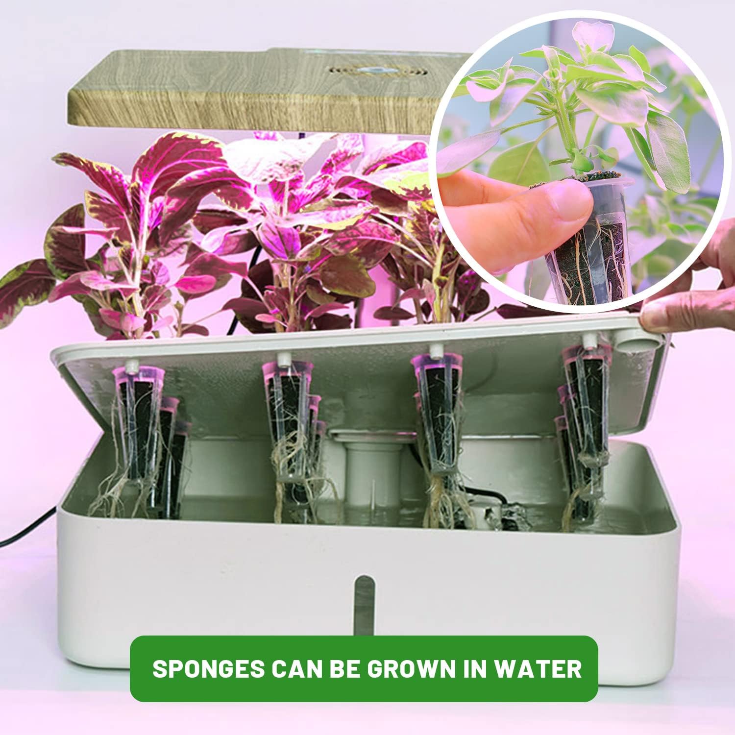 300Pcs Growth Sponges for Pods, Greenhouses Sponges, Grow Sponges for Greenhouses & Germination Equipment, Starter for