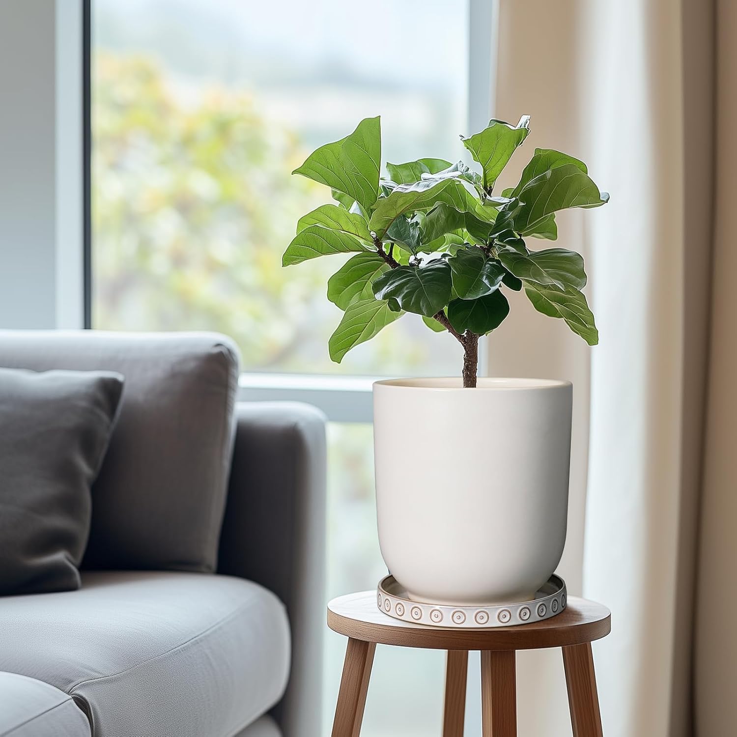 Eightpot Plant Tray for Pots - Ceramic Plant Saucer for Indoors Outdoors 7.5 Inch Plant Water Catcher Tray Plant