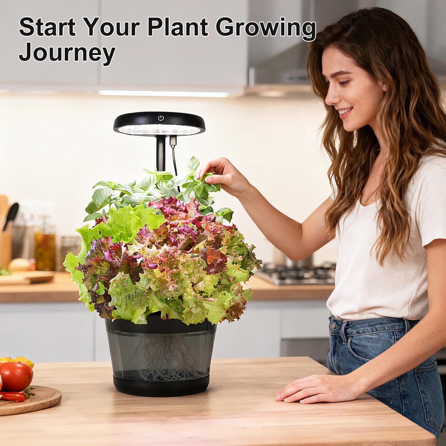 Indoor Clay Pebbles Hydroponic Gardening System with 20W LED Plant Grow Light.The Translucent hydroponic Growing System