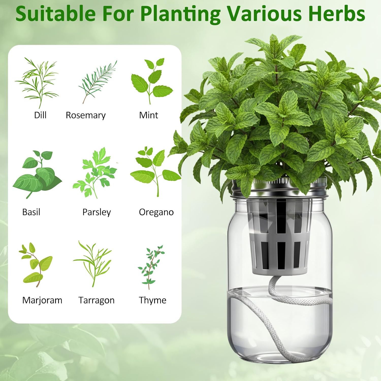 Teenyyou 12 Set Hydroponic Garden Mason Jar Kit Self Watering Herb Hydroponic Planter Starter Kit with Net Pot Garden
