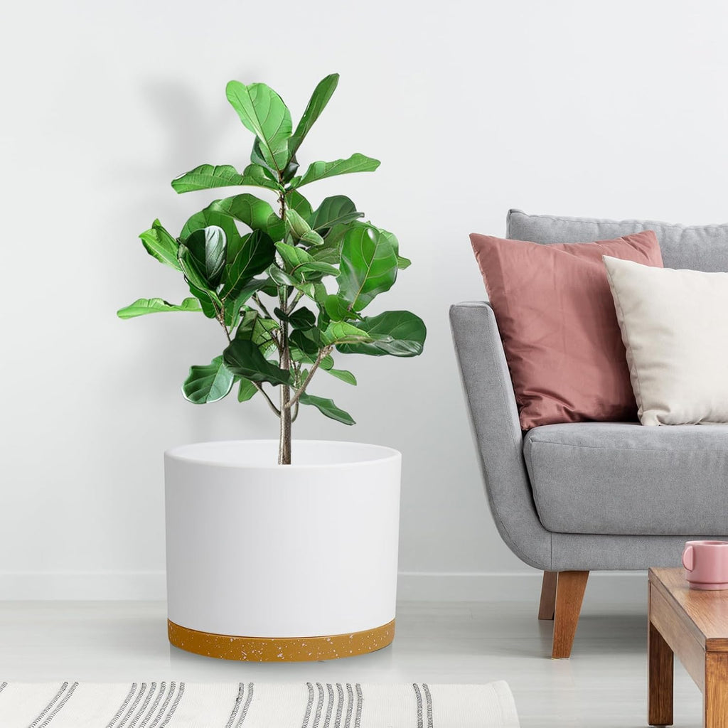 Large Plant Pots Set of 3 – 8", 9", 10" Indoor Flower Pots with Drainage Holes and Saucers, Big Planters for Monstera
