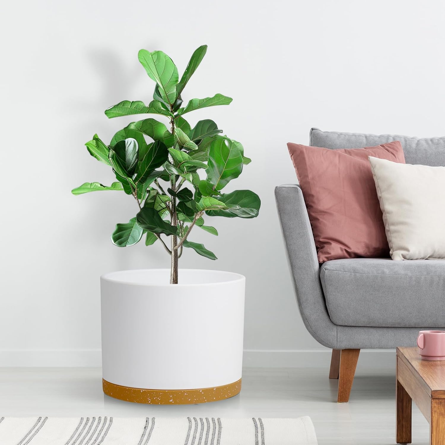 Large Plant Pots Set of 3 – 8", 9", 10" Indoor Flower Pots with Drainage Holes and Saucers, Big Planters for Monstera