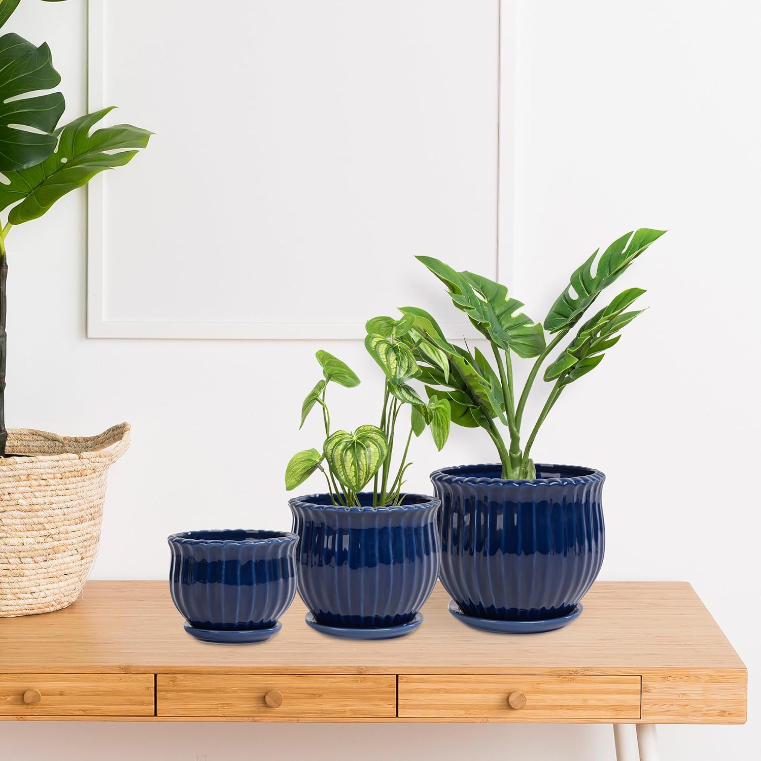 Ceramic Flower Pots, Ceramic Planters with Drainage Hole and Saucer, Modern Round Ceramic Succulent Plant Pots with