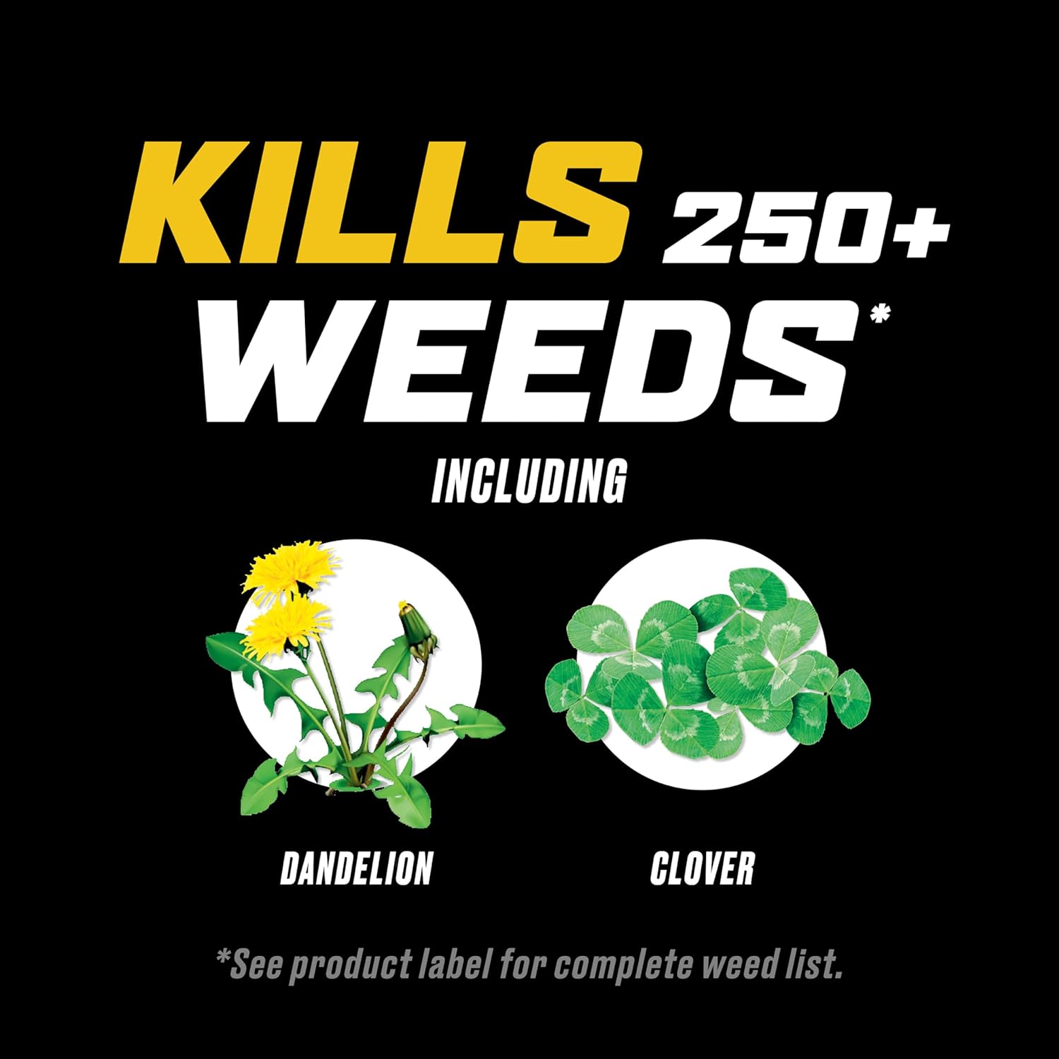 Ortho WeedClear Weed Killer for Lawns Concentrate, 1 gal. | Weed Killer Concentrate, Won't Harm Grass When Used as