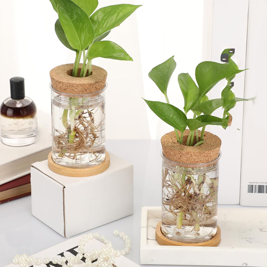 9 Packs Propagation Vases for Plants Plastic Plant Propagation Station with Hole Lid and Bamboo Stand Growing in Water