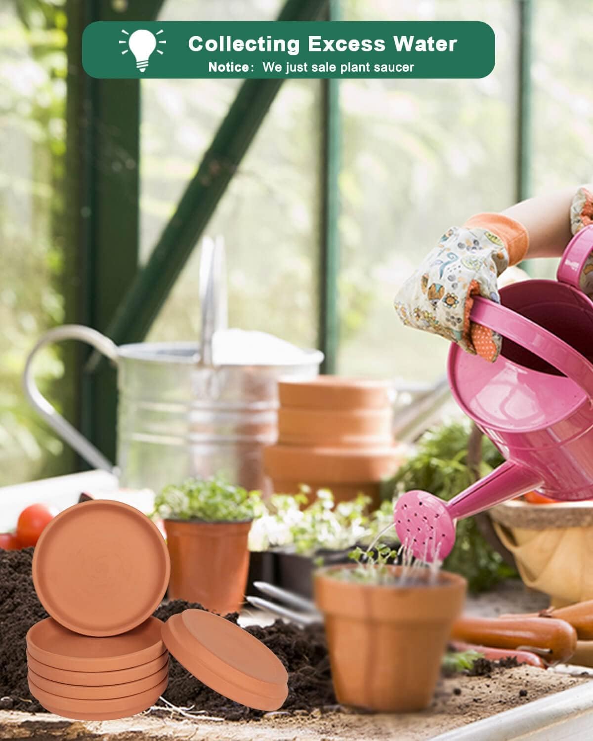 6 Inch Terracotta Plant Saucers, 6 Pack Small Clay Trays for Pots | 6 pack small terracotta planter saucers for 6 and