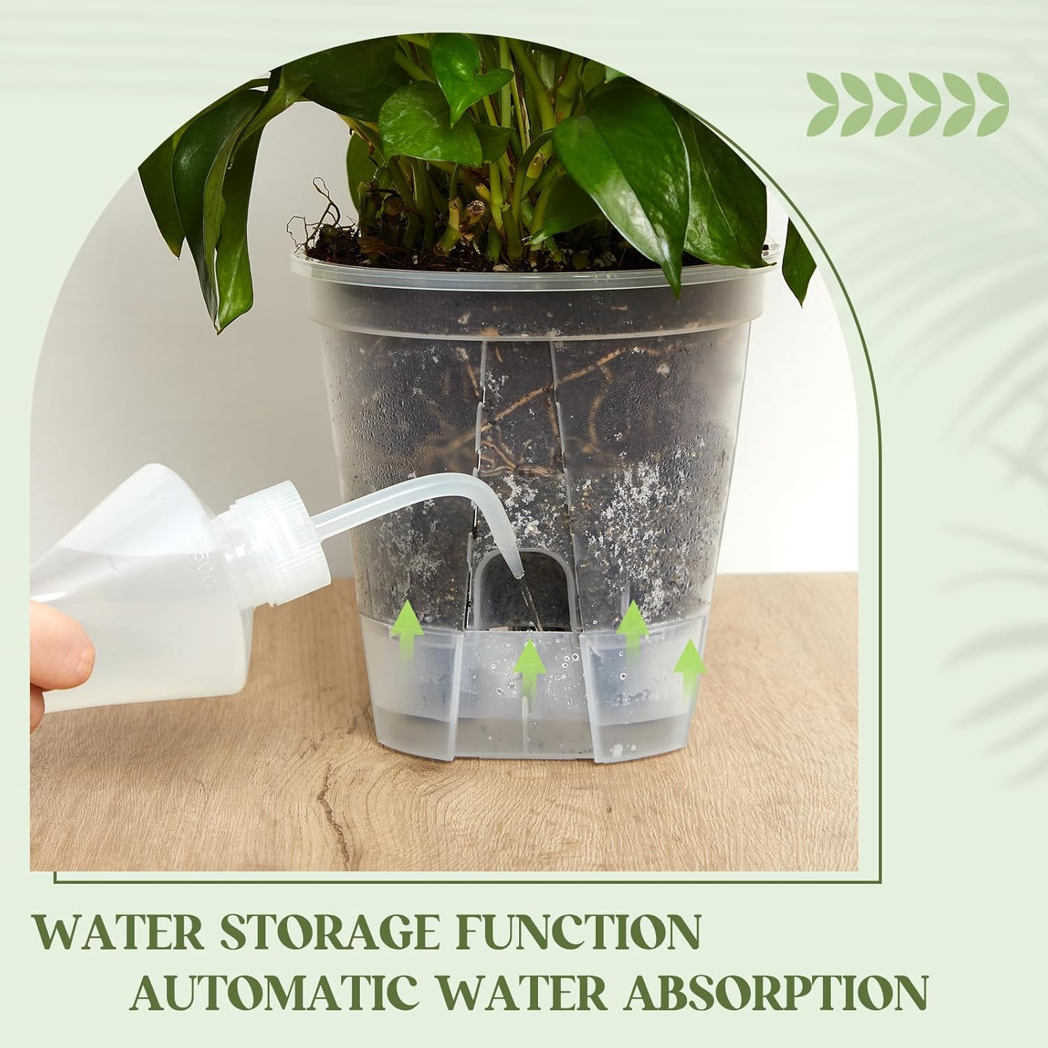 Self Watering Planters, Deep Reservoir Pots for Indoor Plants | Clear plastic planters in 3 sizes store water for 7-10