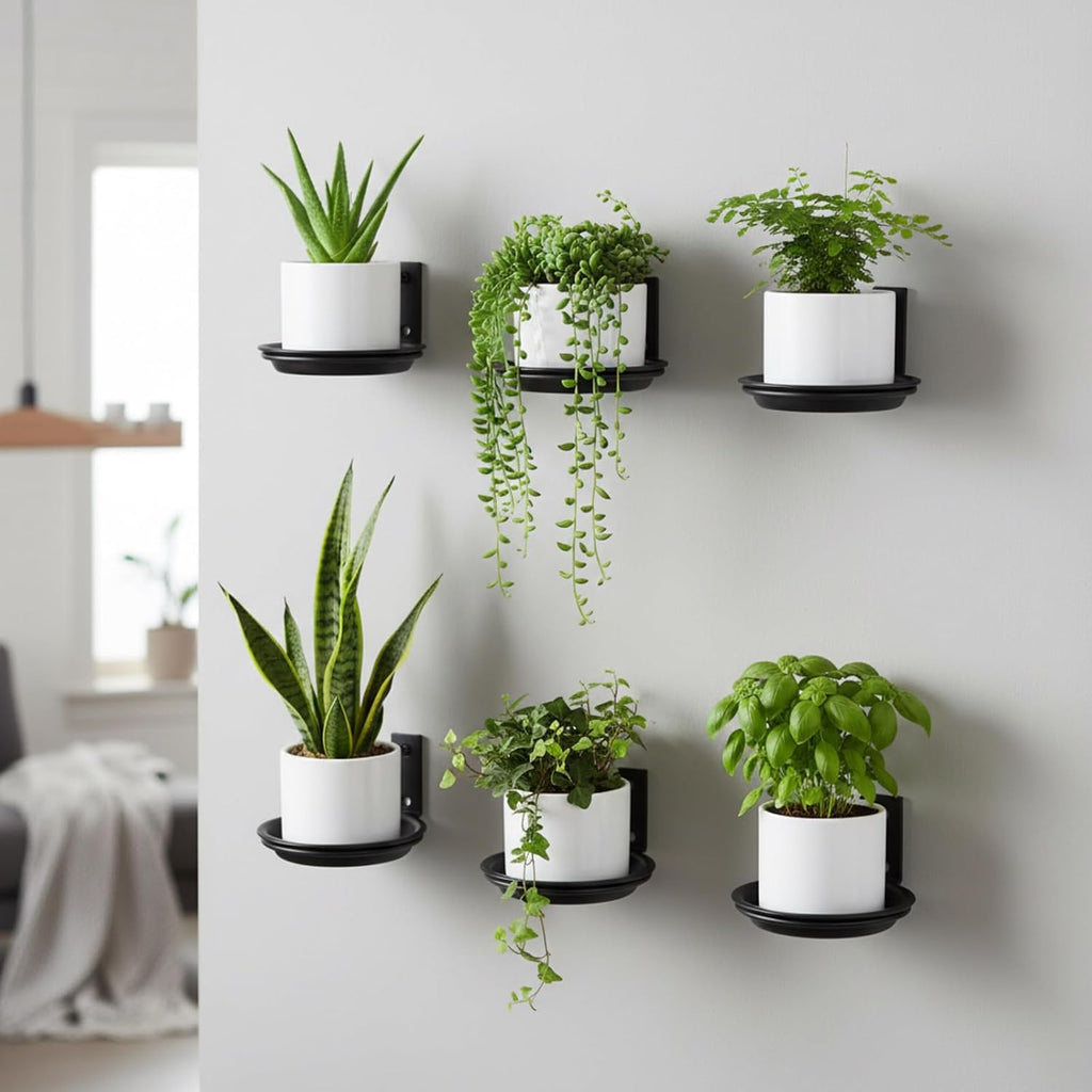 6 Pack 6'' Wall Mount Plant Holder with 8 Replaceable Trays, Heavy Duty Metal Flower Pot Holder Ring, Plant Hanger for