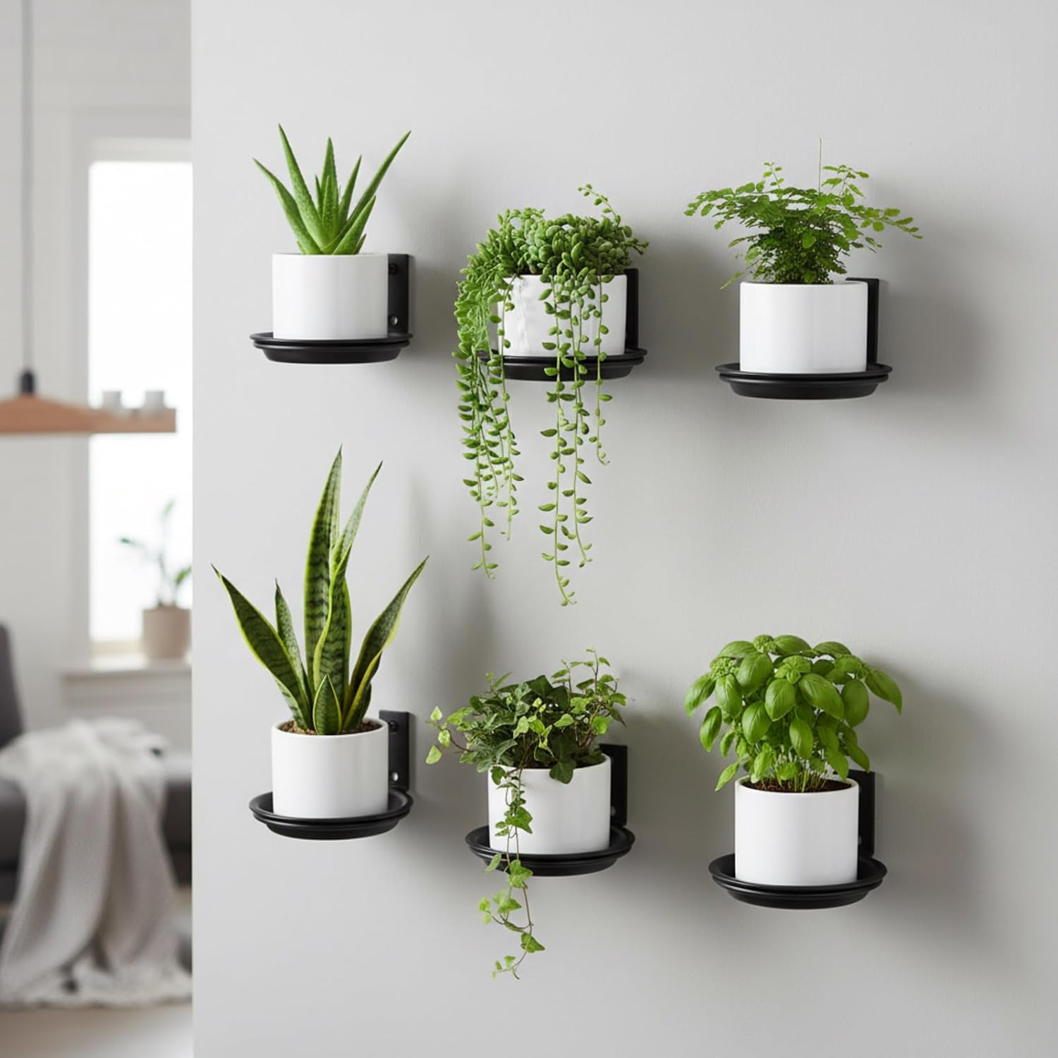 6 Pack 6'' Wall Mount Plant Holder with 8 Replaceable Trays, Heavy Duty Metal Flower Pot Holder Ring, Plant Hanger for