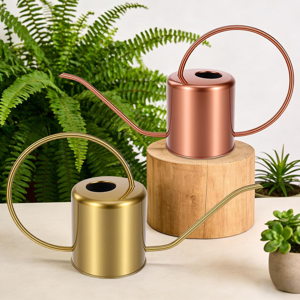 Plant Watering Can, 50 oz / 1500 ml Stainless Steel Metal - Modern Decorative with Long Spout for Indoor Potted Plants