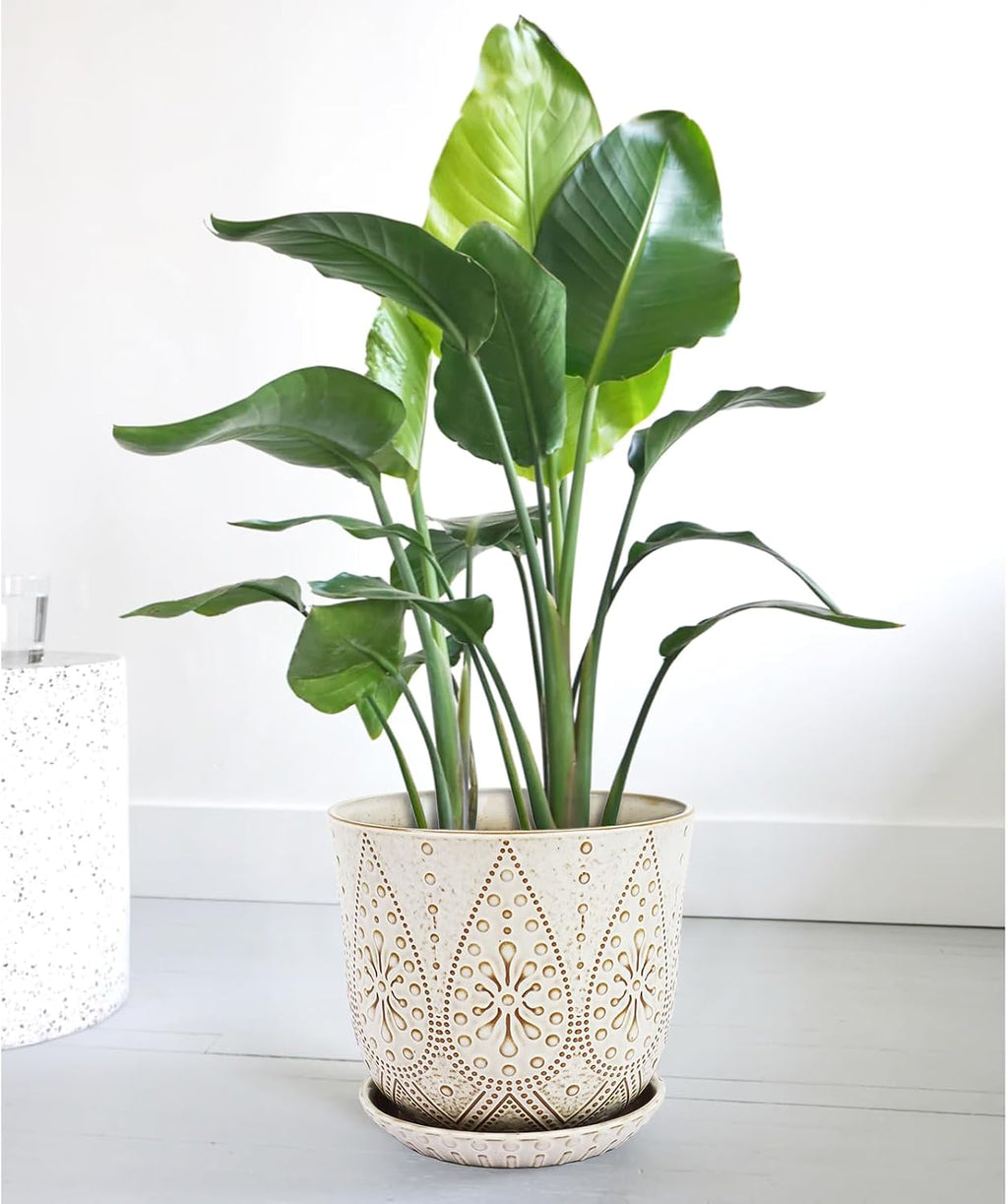 Gepege 10 Inch Ceramic Plant Pot for Indoor Plants with Drainage & Saucer | Large ceramic plant pot with drainage hole