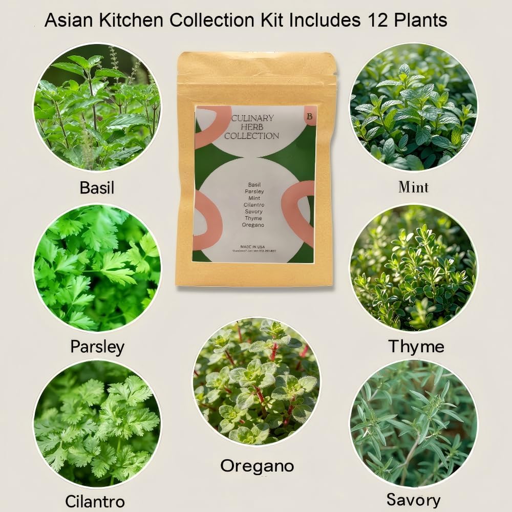 inbloom 12-Pod Gourmet Herb Basil Seed Pod Kit for AeroGarden, Ahopegarden Hydroponic Garden, Basil, Mint, Cilantro