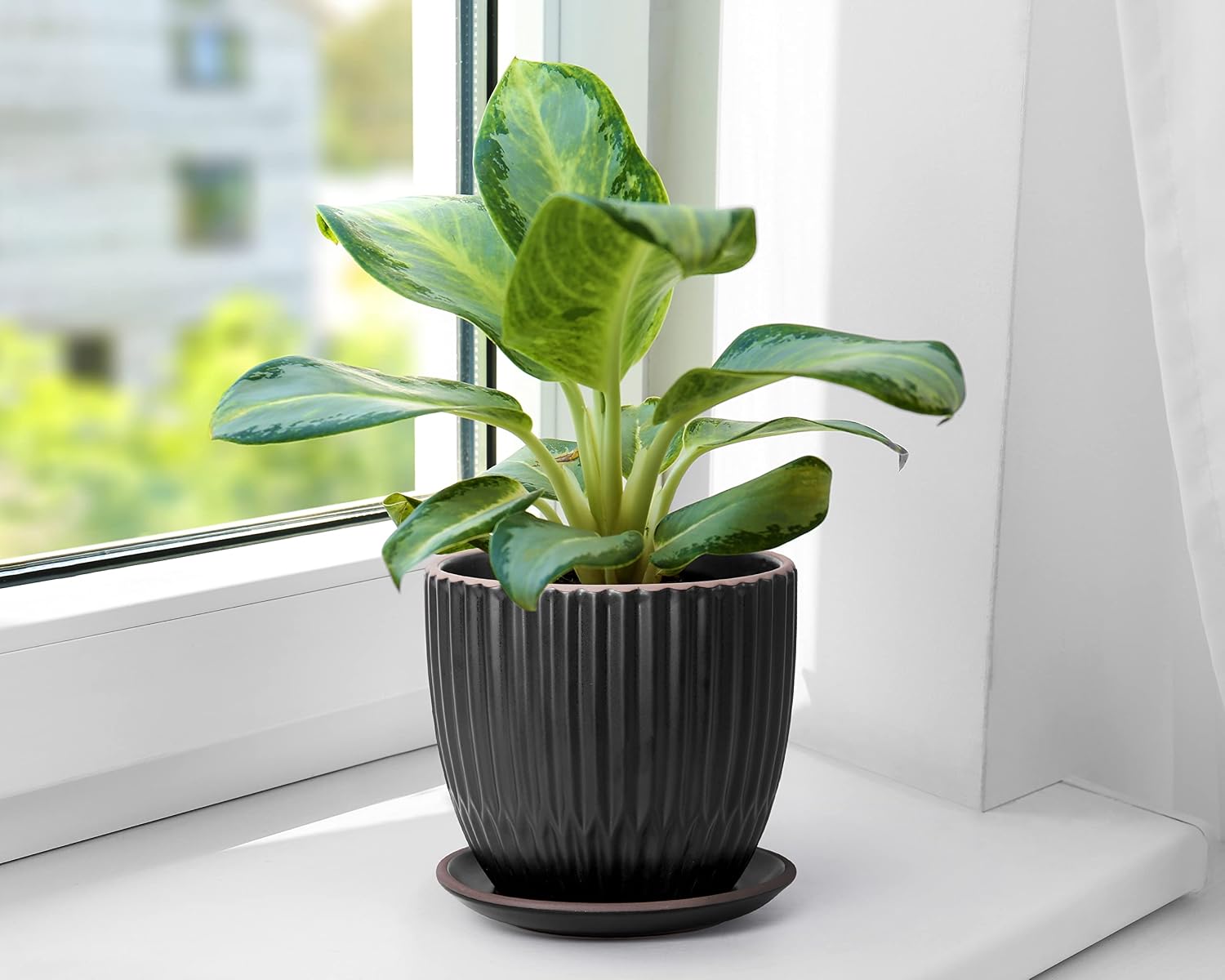 D'vine Dev 2-Pack Stoneware Planter Pots, 4.5/5.8 in, Black, 99-D-2 | Vertical Ribbed Texture, Smooth Glazed Finish
